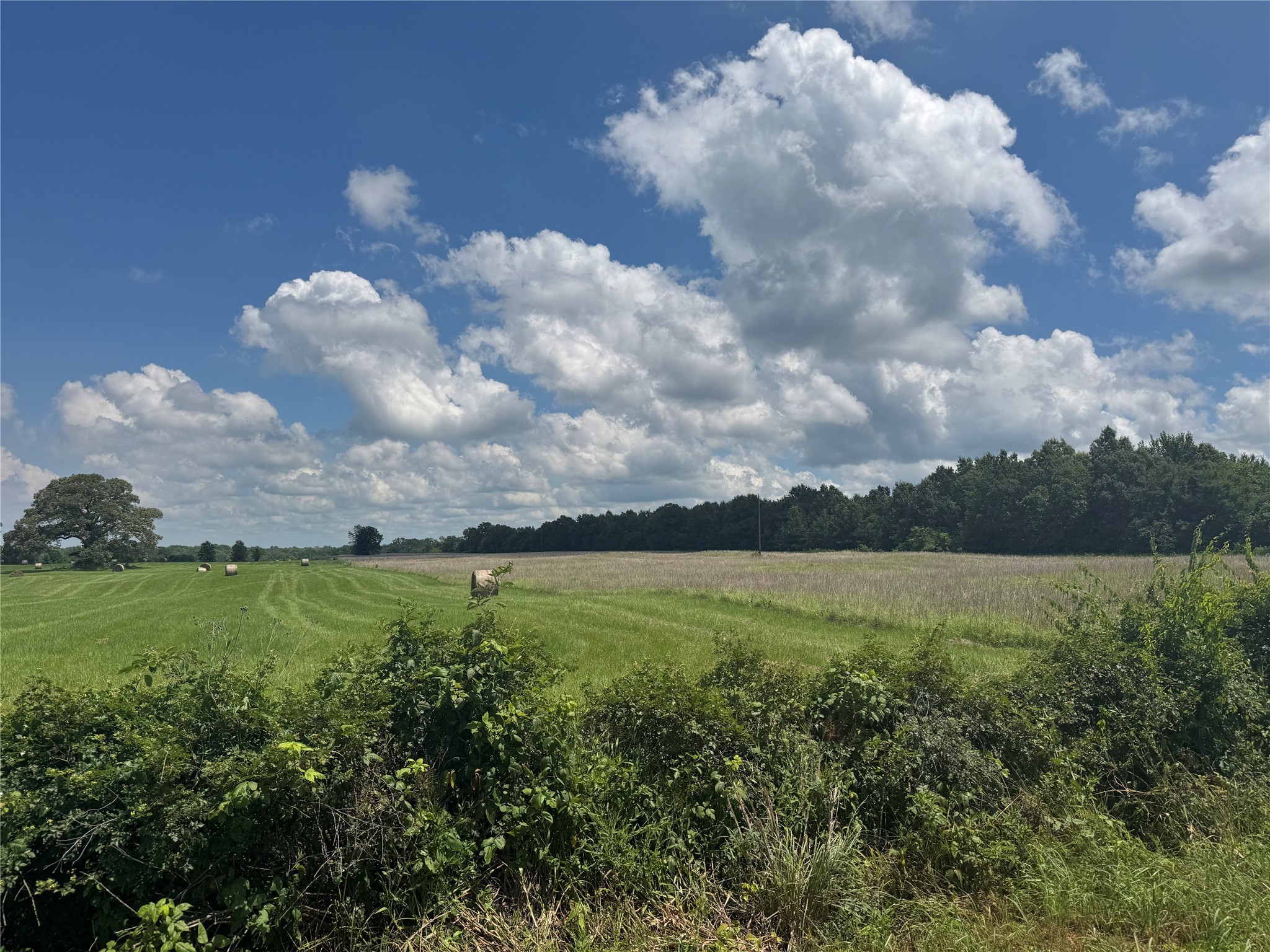 TBD County Road 3925