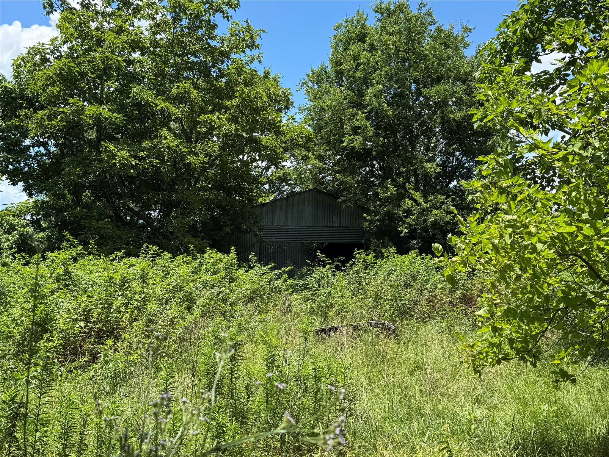 TBD County Road 3925