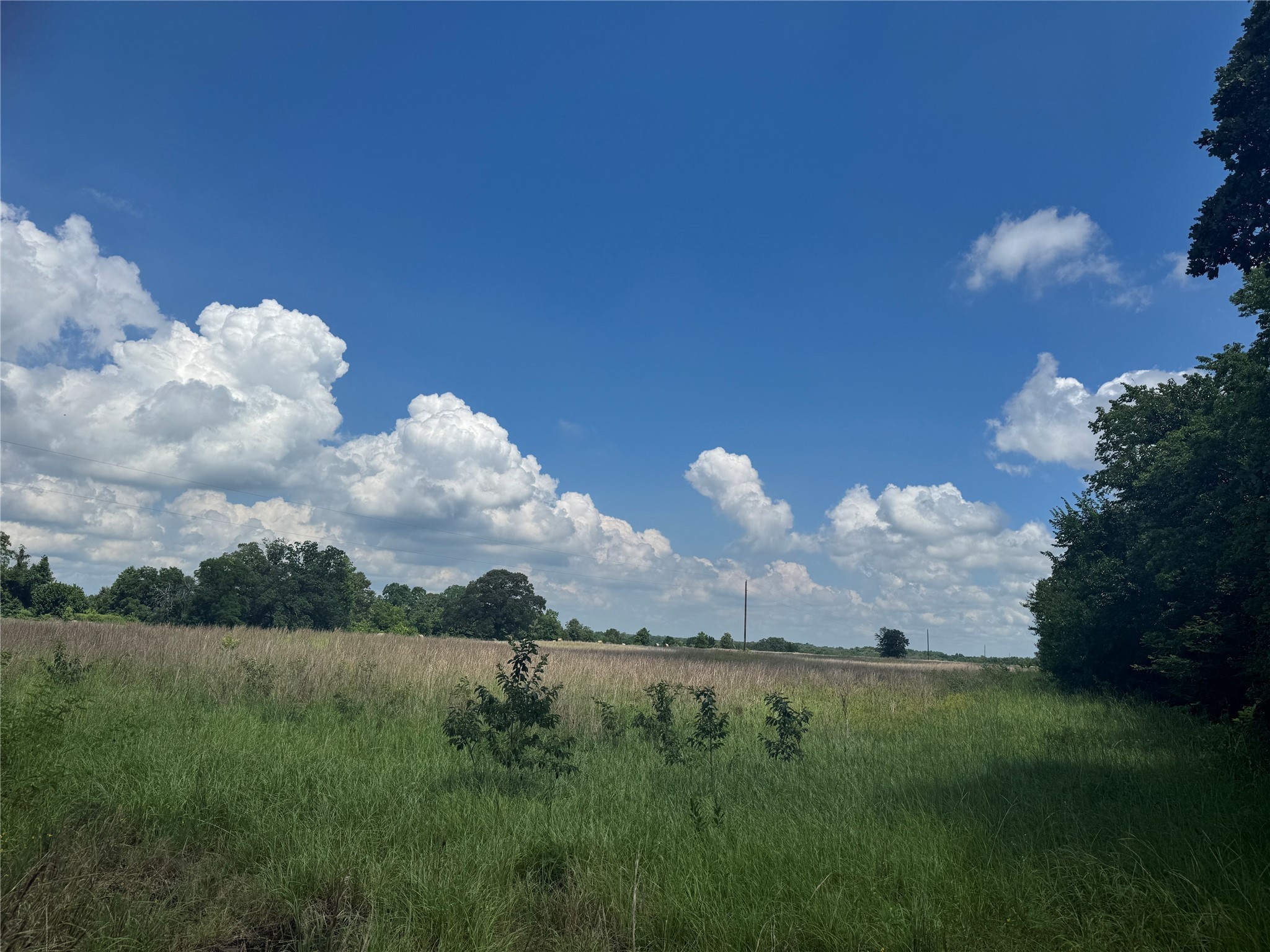 TBD County Road 3925