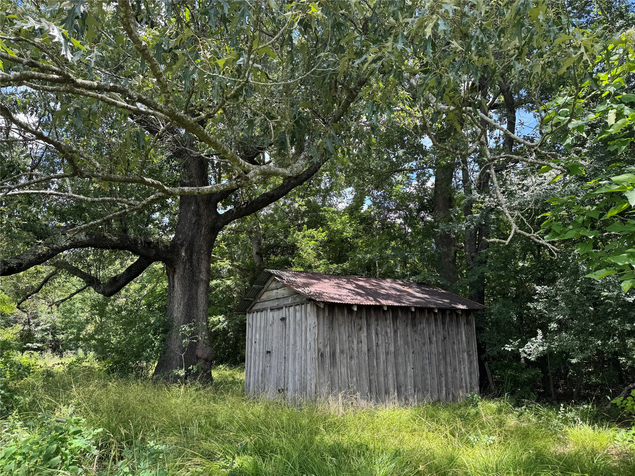 TBD County Road 3925