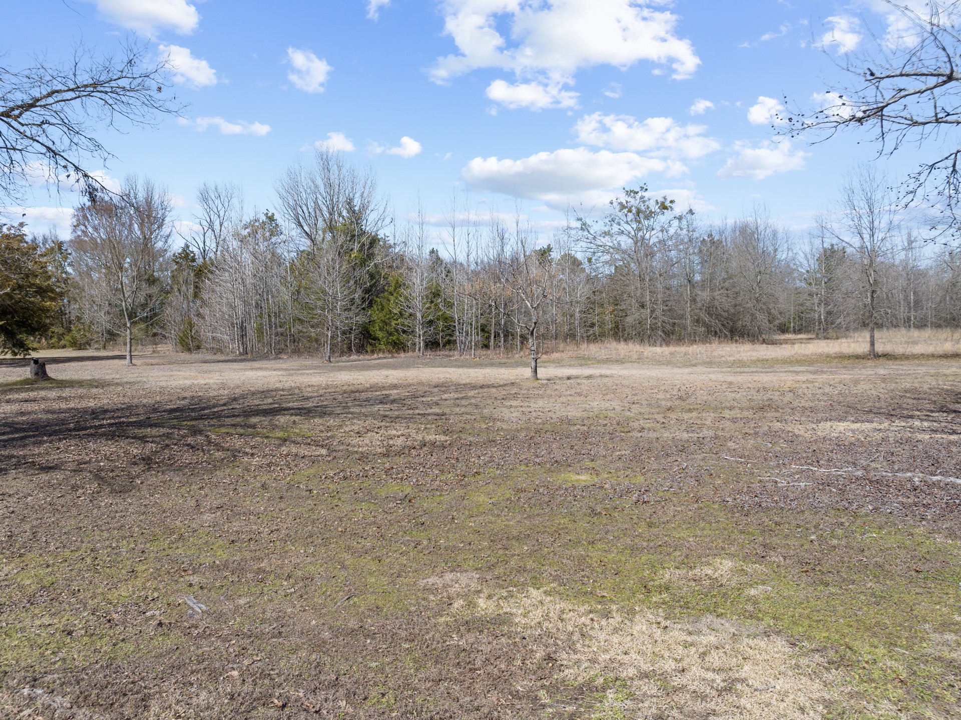 1175 County Road 1535