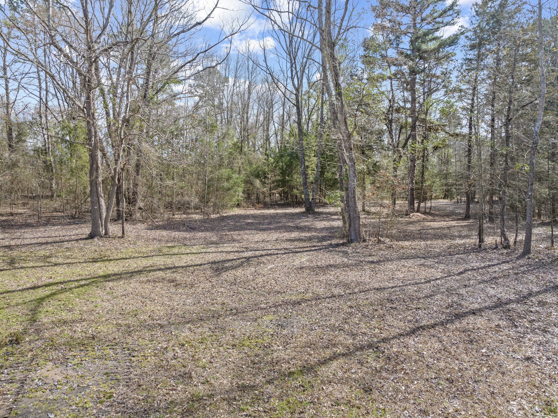 1175 County Road 1535