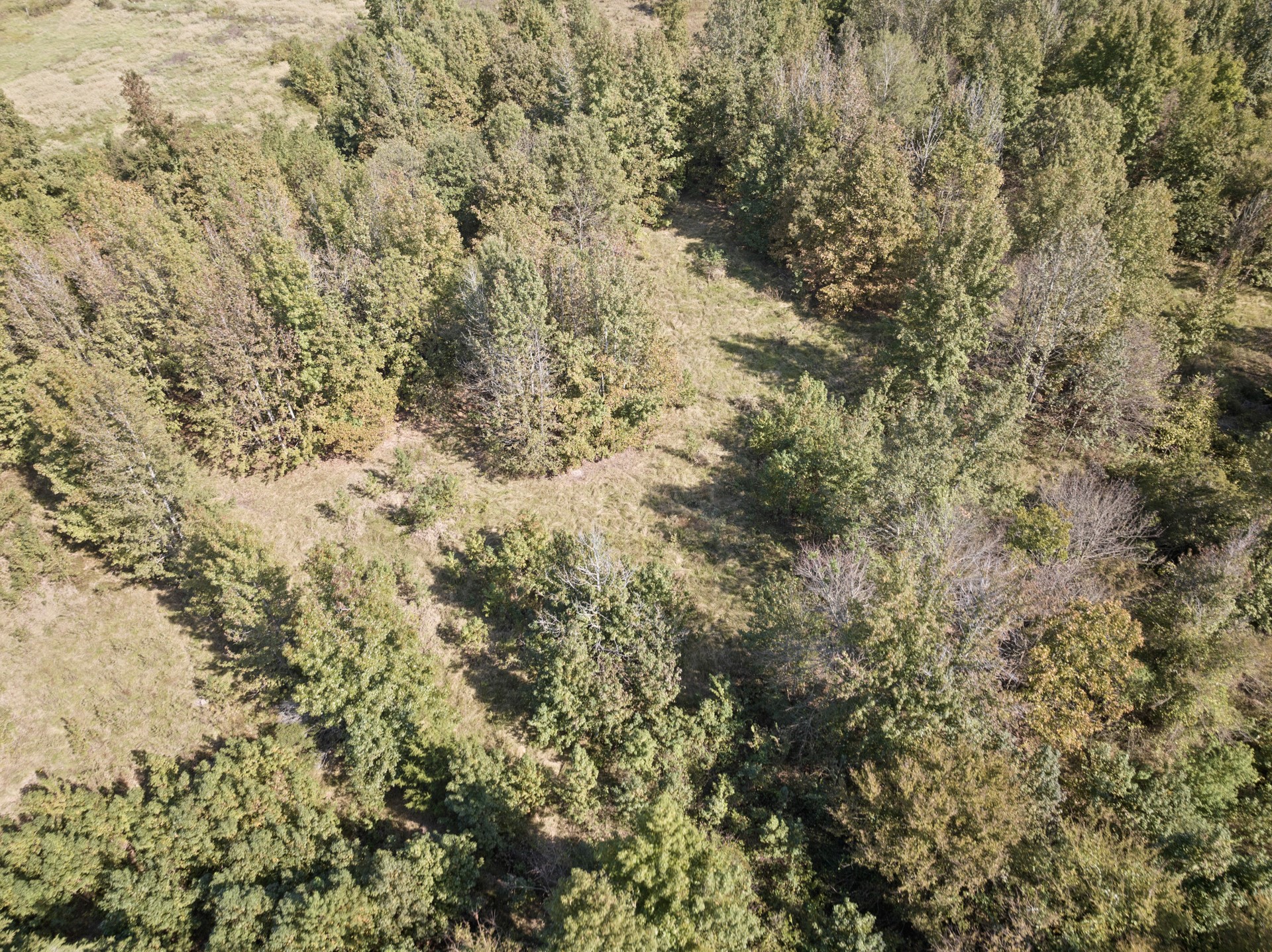 TRACT 1 County Road 4325