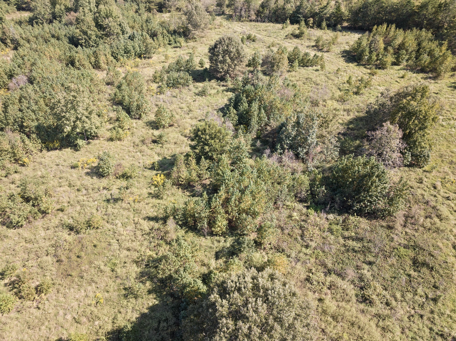 TRACT 1 County Road 4325