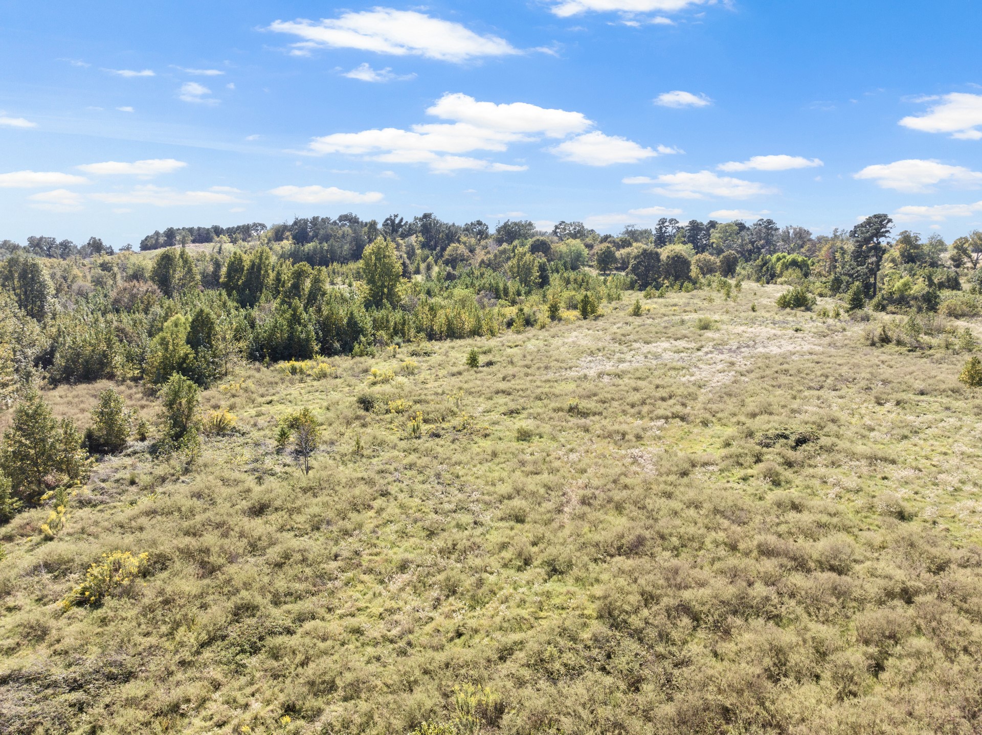 TRACT 1 County Road 4325