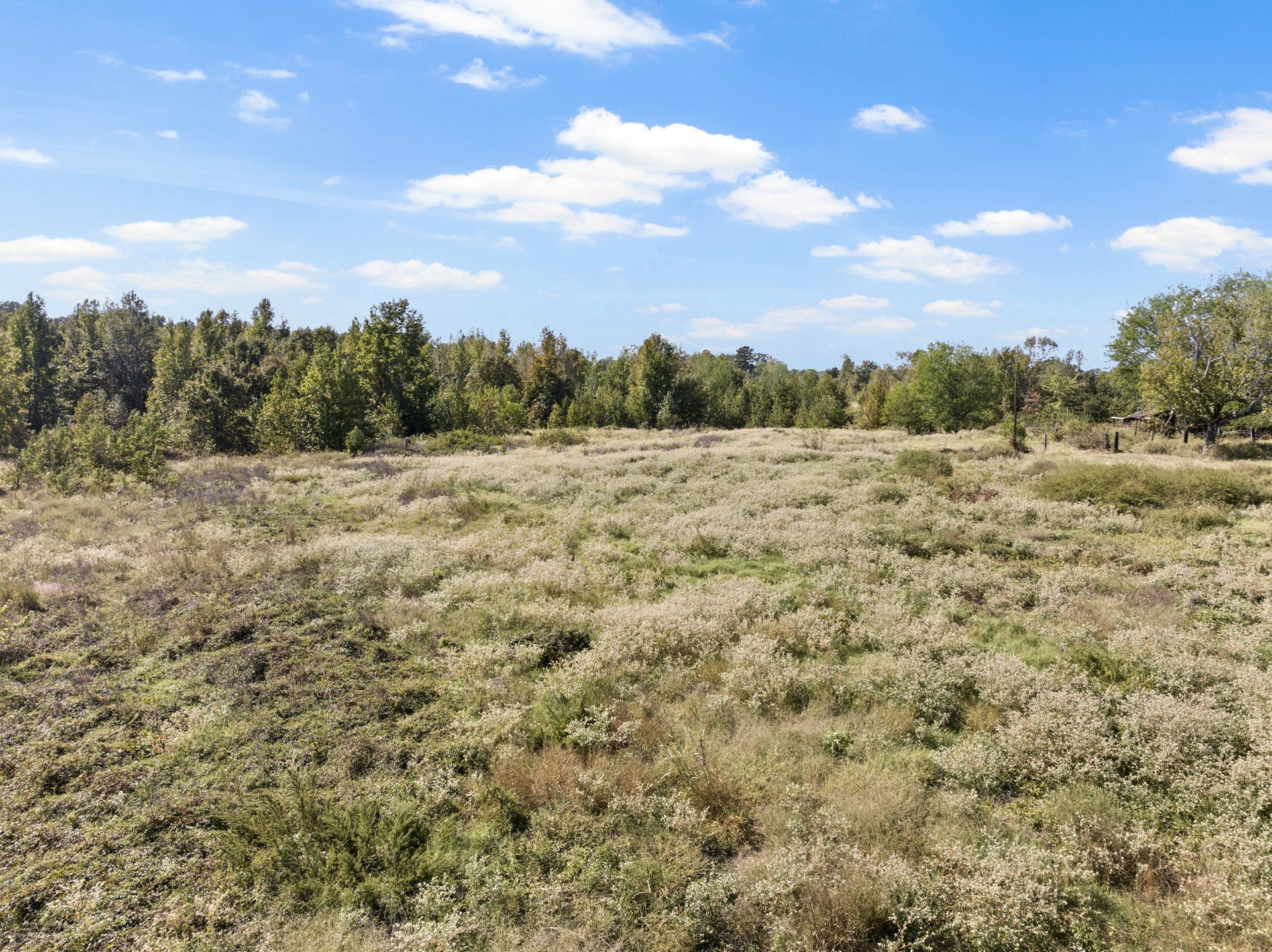 TRACT 1 County Road 4325