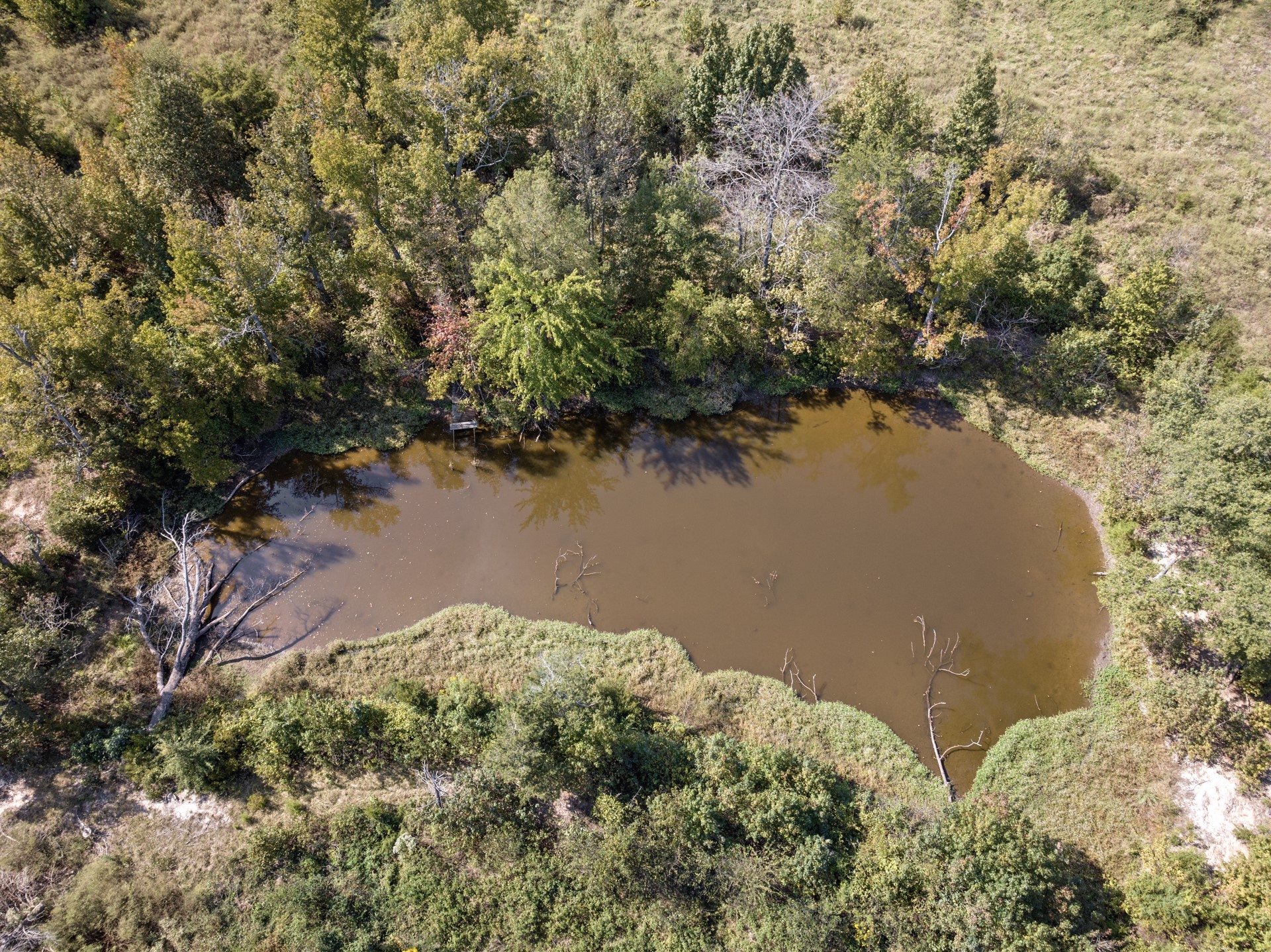 TRACT 1 County Road 4325