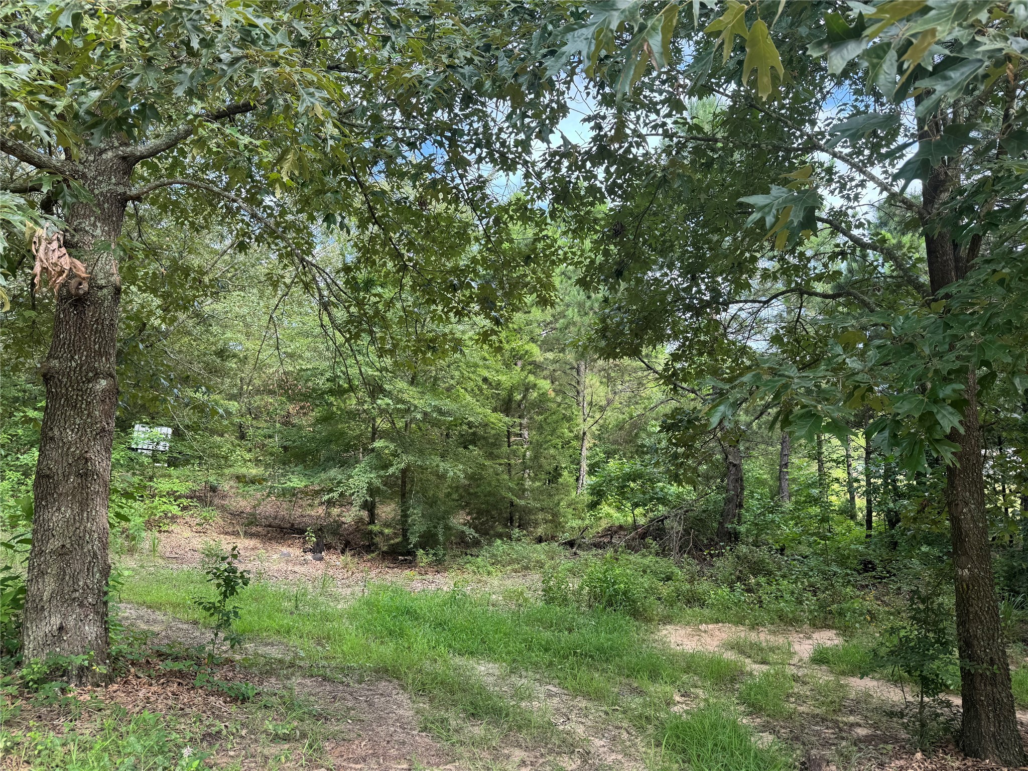 358 County Road 2401