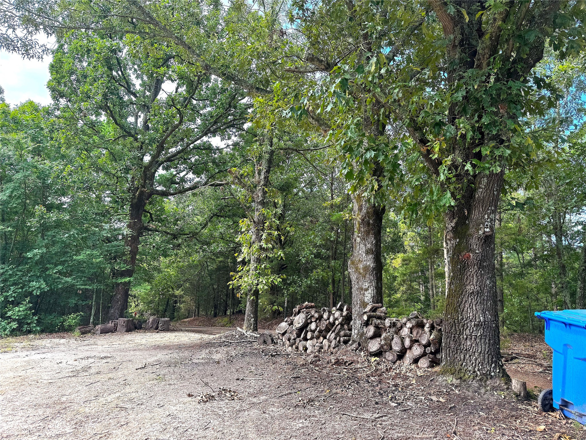 358 County Road 2401