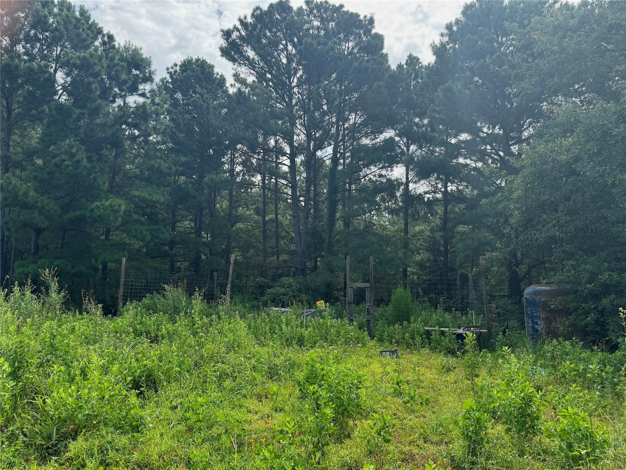 358 County Road 2401