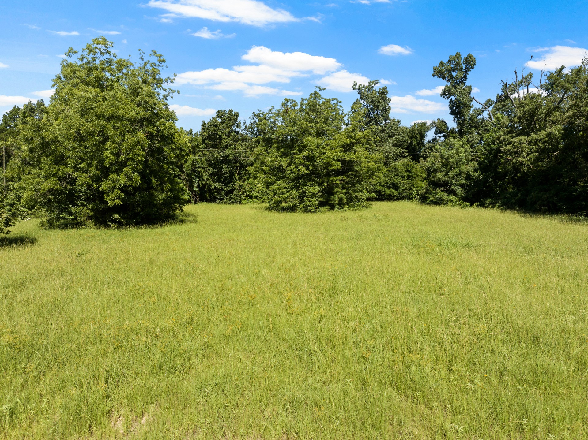 2039 County Road 2850