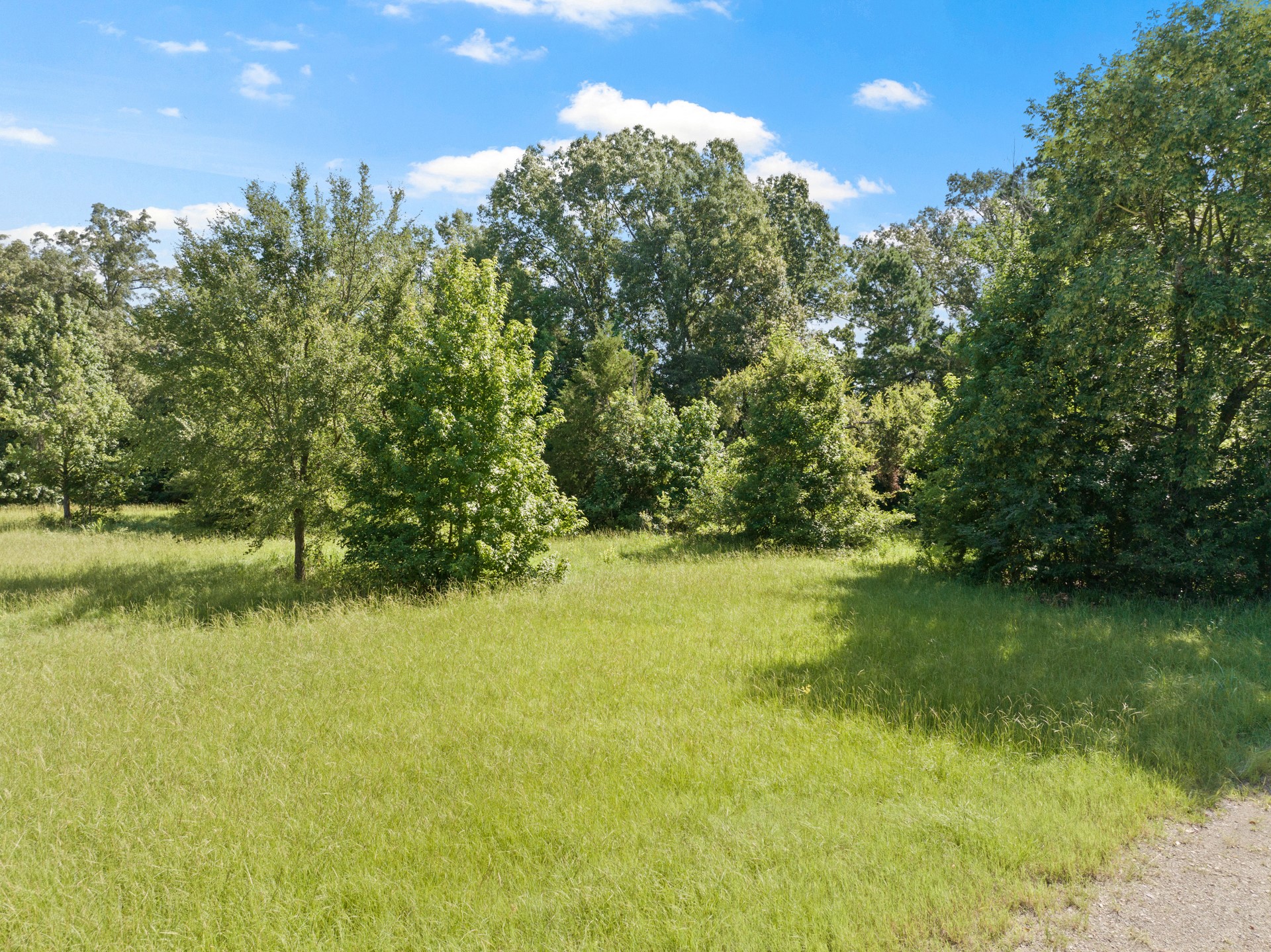 2039 County Road 2850