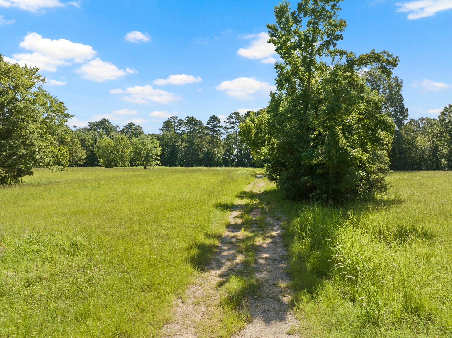 2039 County Road 2850