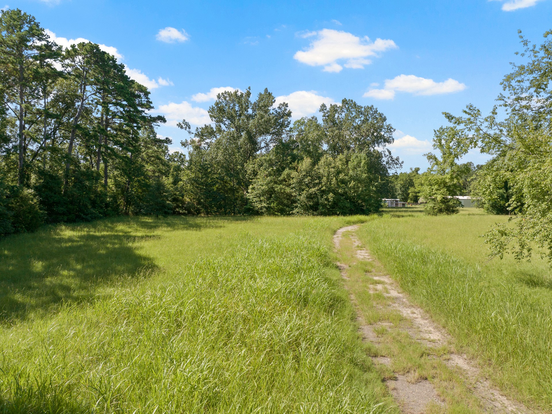 2039 County Road 2850