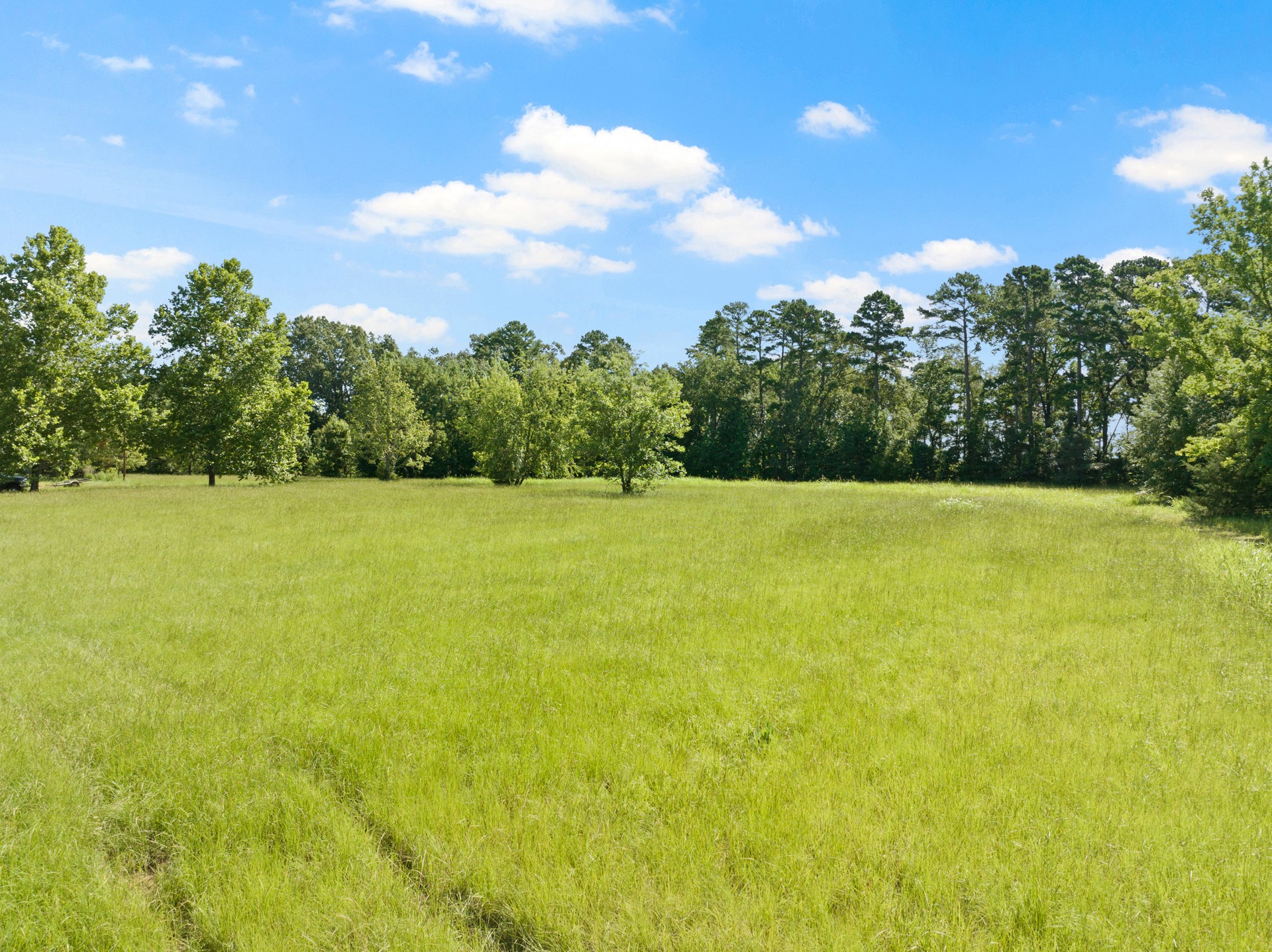 2039 County Road 2850