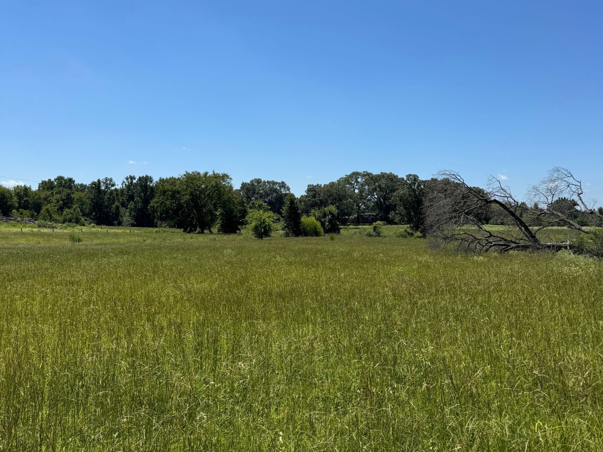 000 County Road 2120