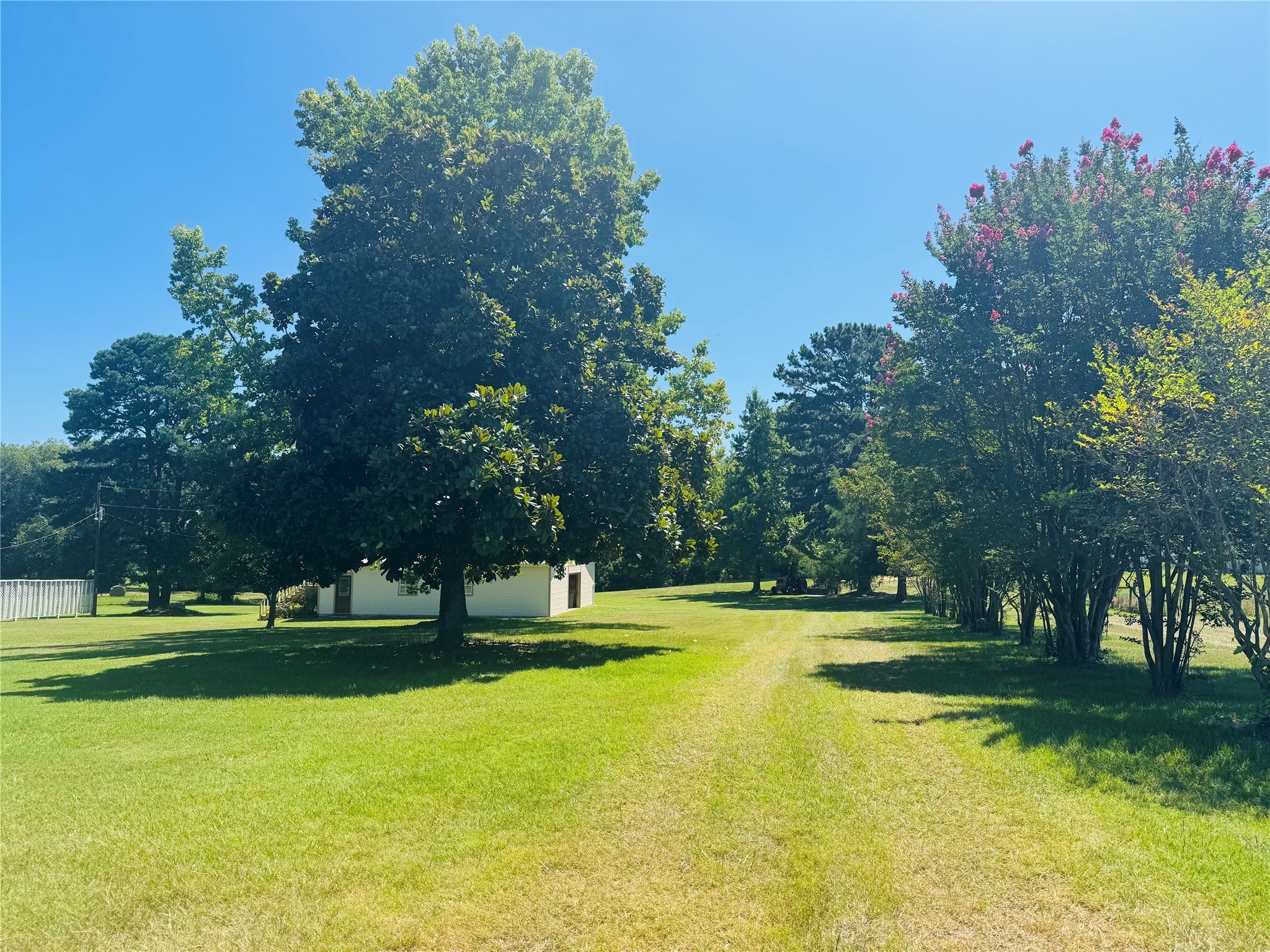 1003 County Road Se 4315