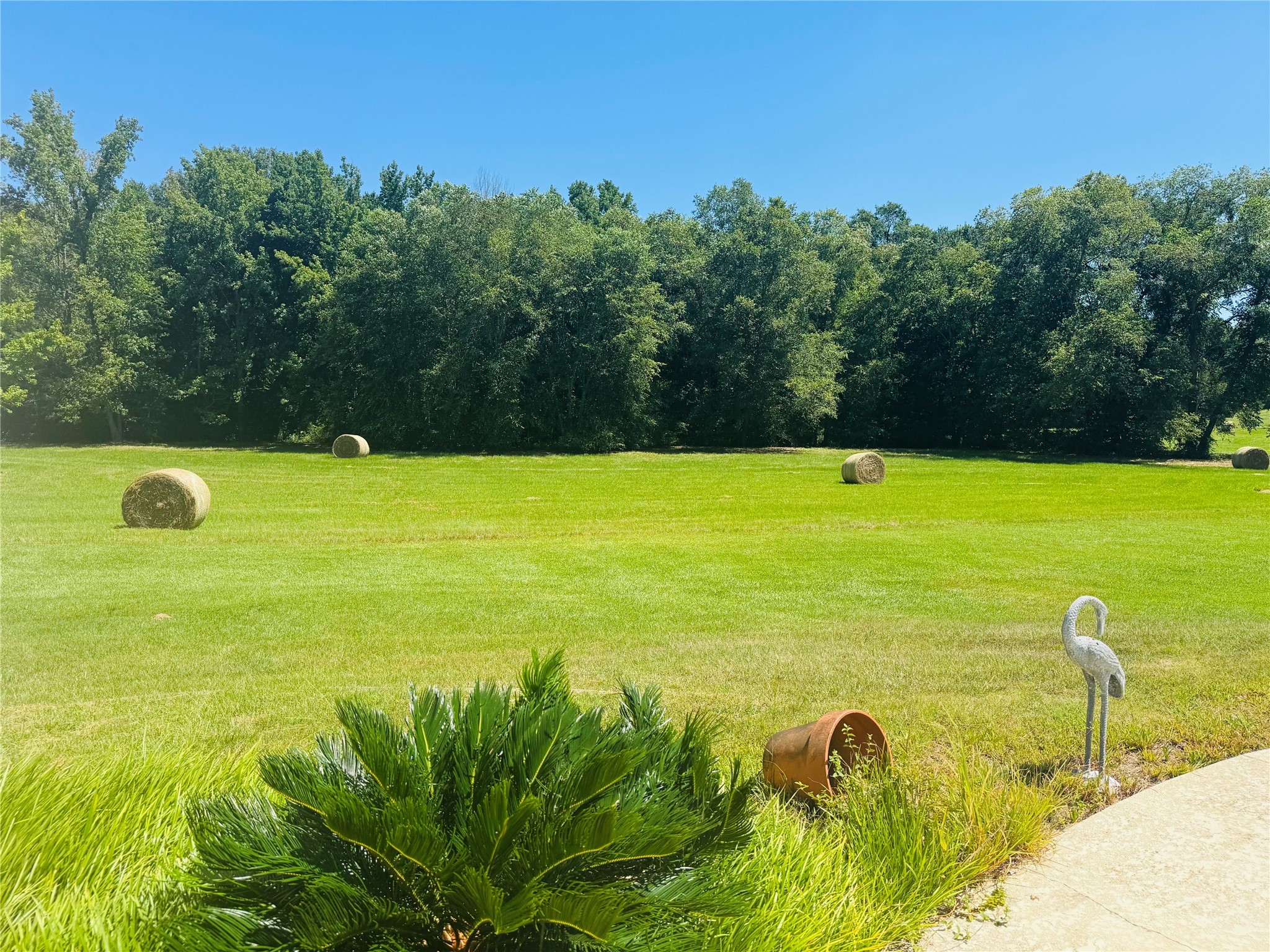 1003 County Road Se 4315