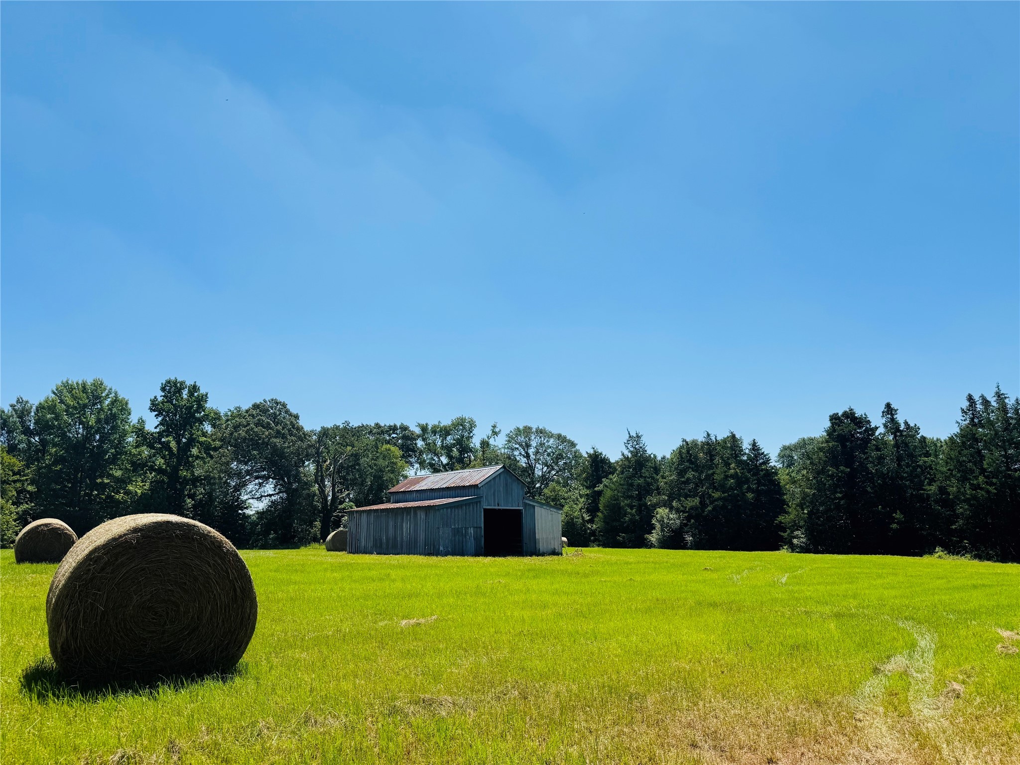 1003 County Road Se 4315