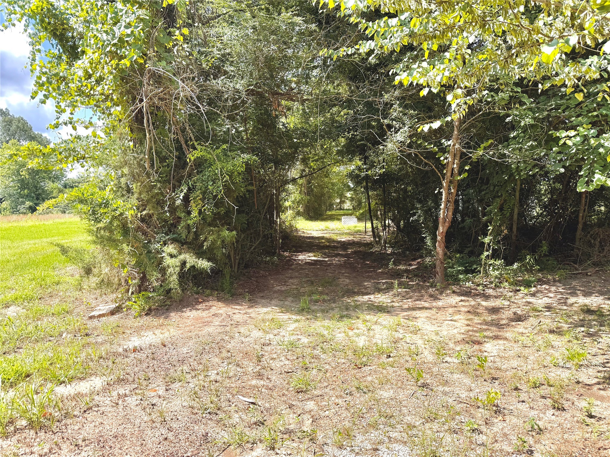 3235 County Rd 3365