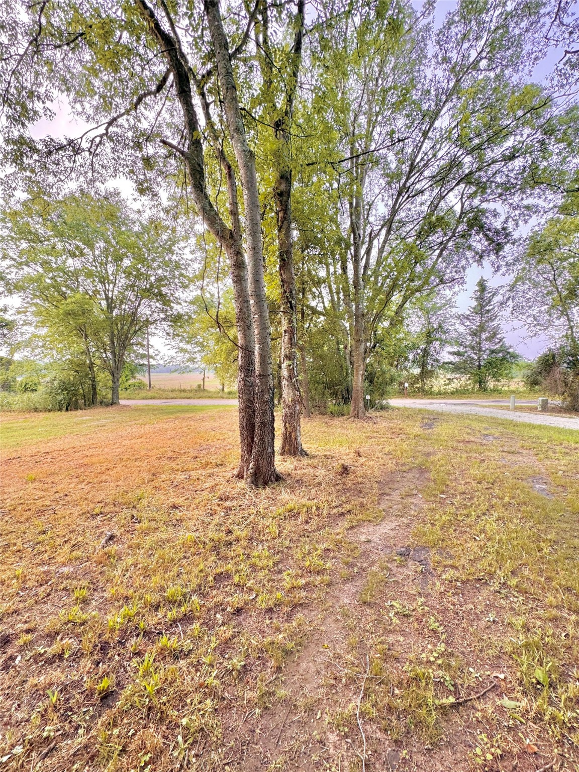 3235 County Rd 3365