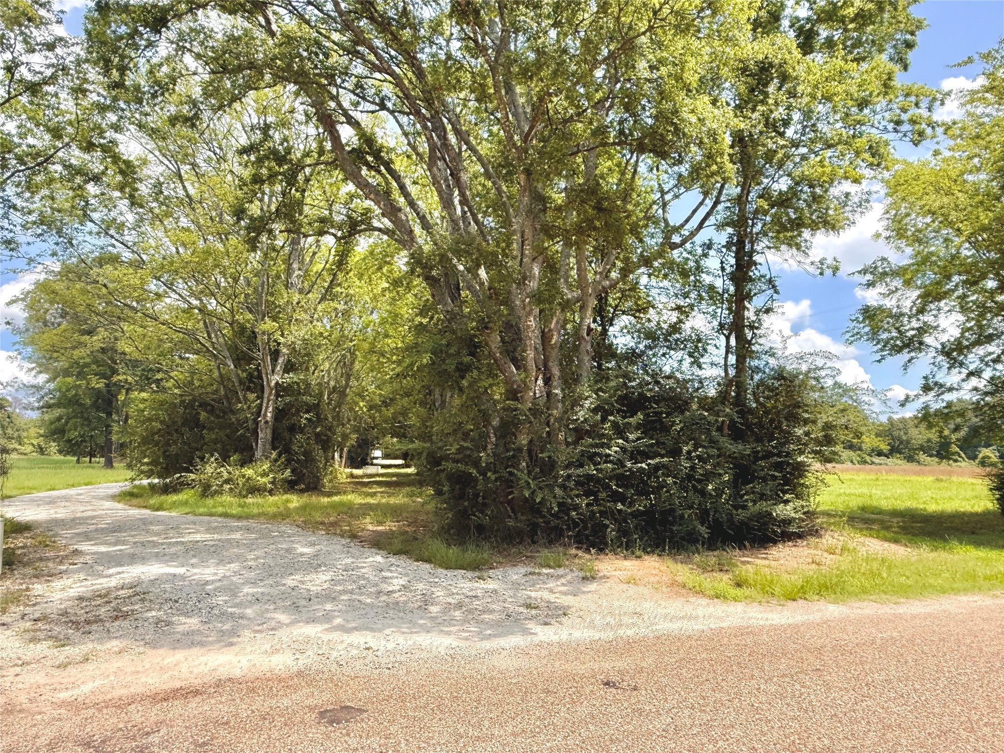 3235 County Rd 3365