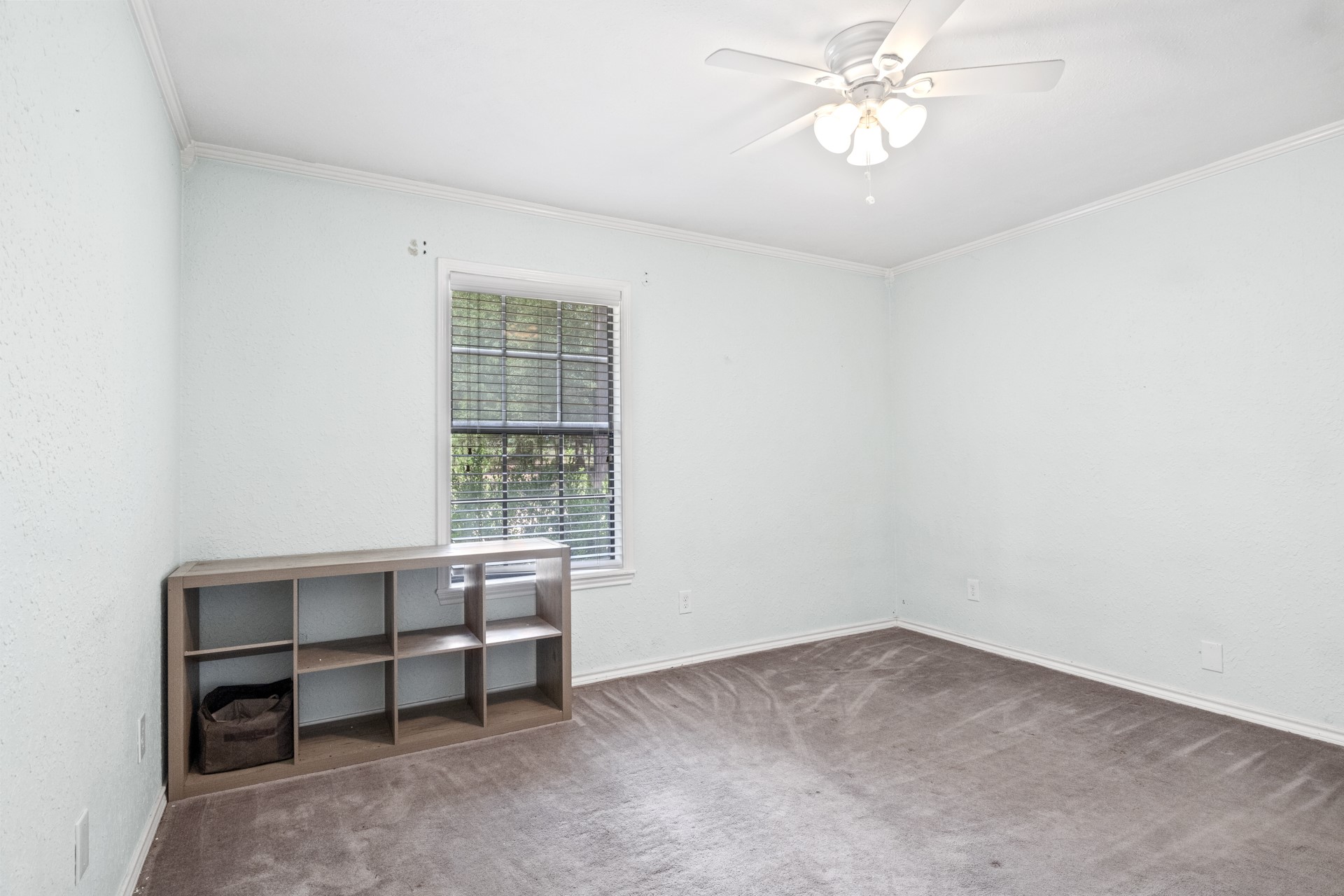 657 County Road 4120