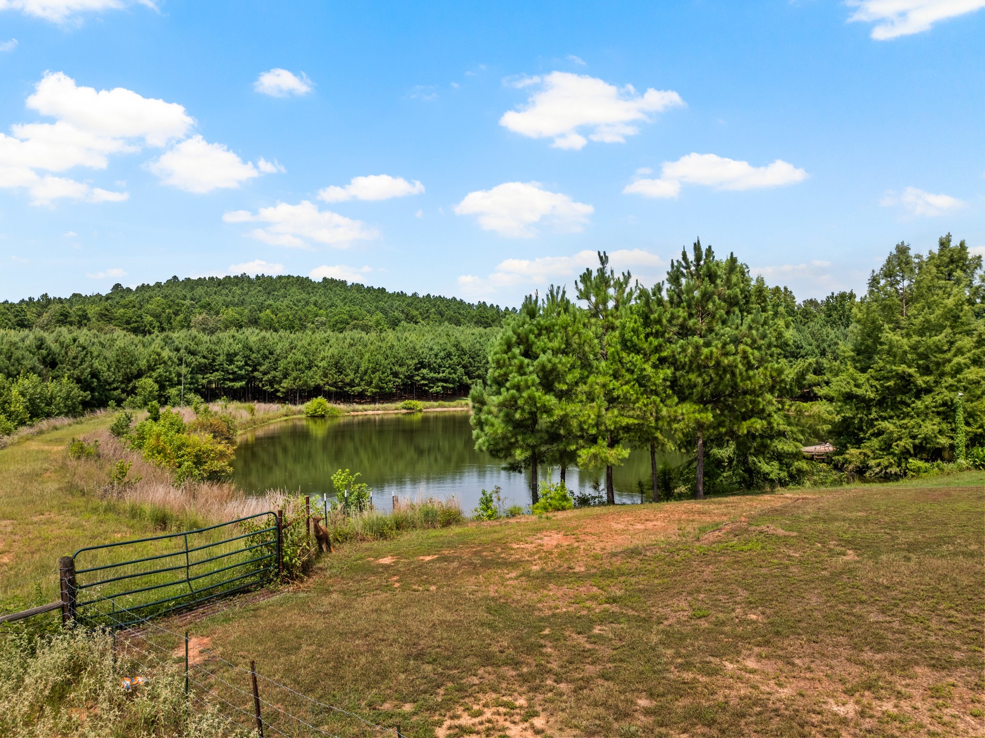 140 COUNTY ROAD 2242