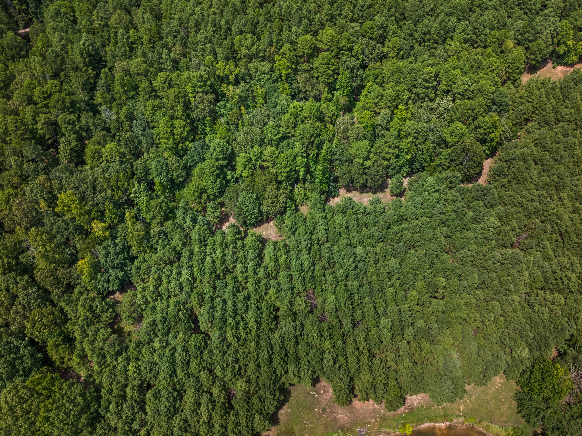 140 COUNTY ROAD 2242