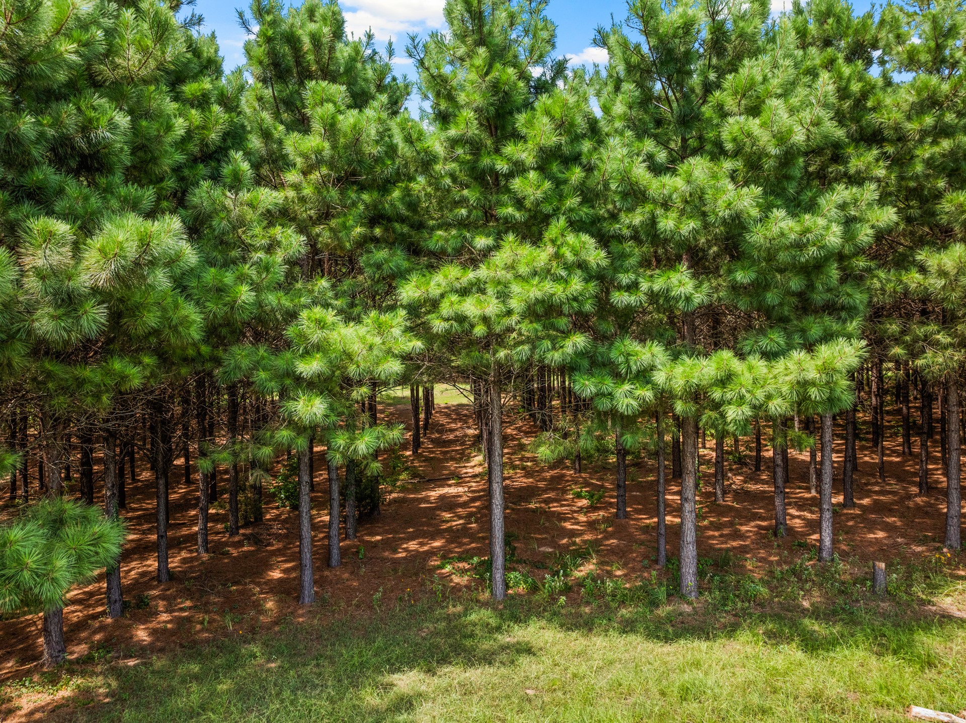 140 COUNTY ROAD 2242