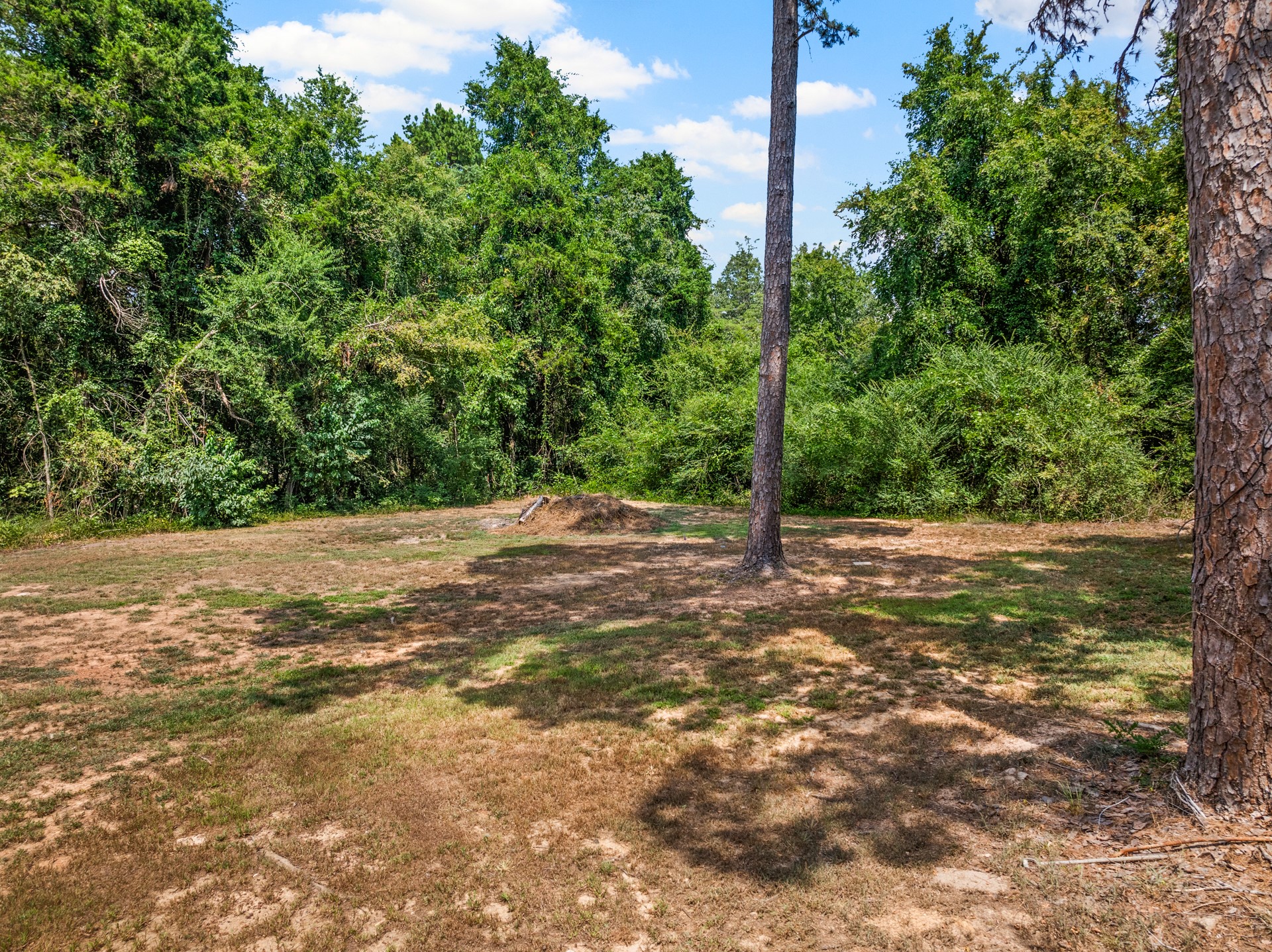 251 County Road 2603