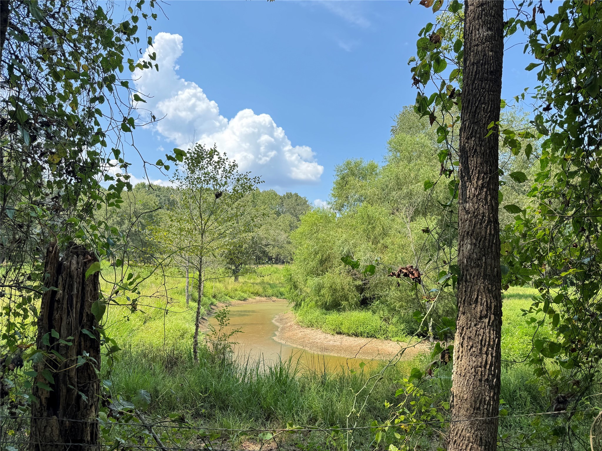 3926 Pignut Road