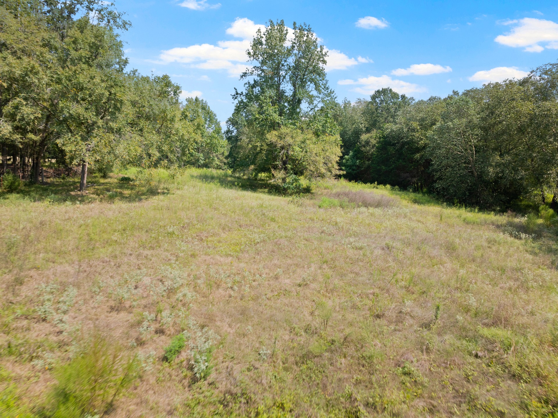 3926 Pignut Road