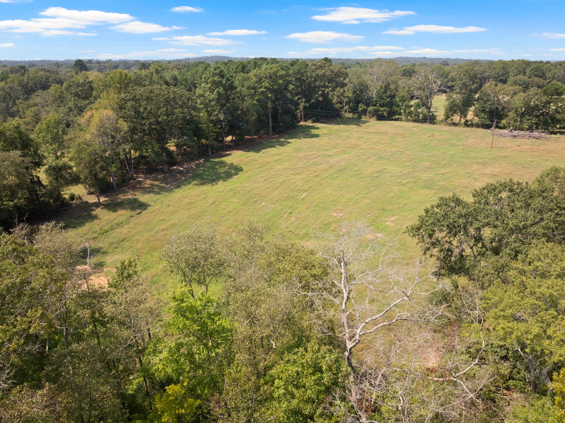 3926 Pignut Road