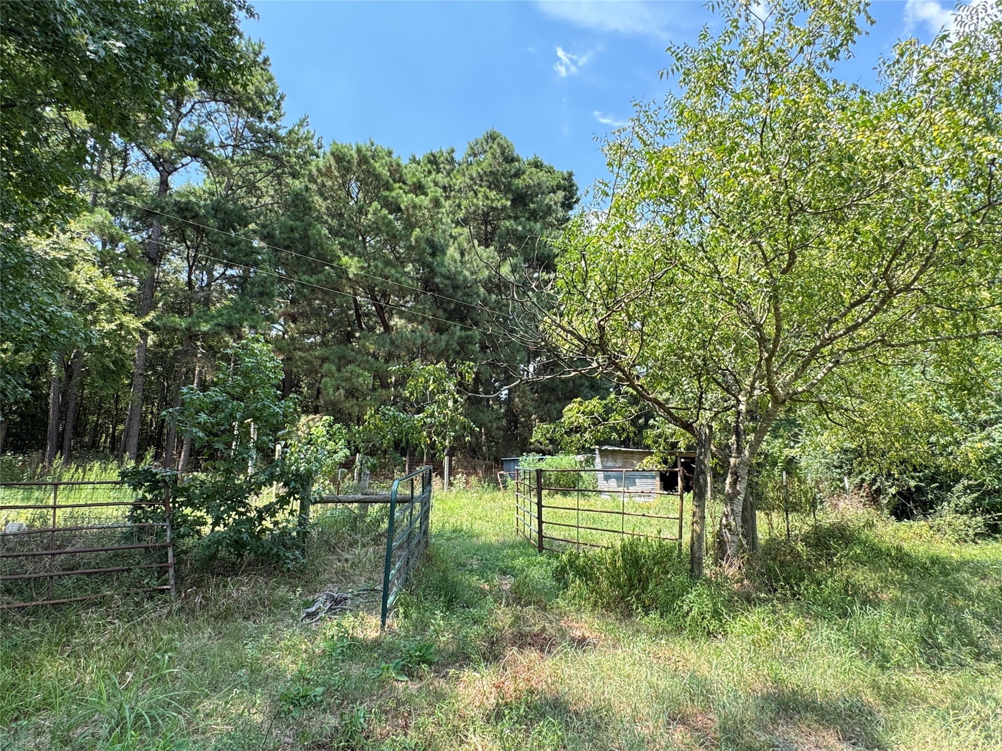 3926 Pignut Road