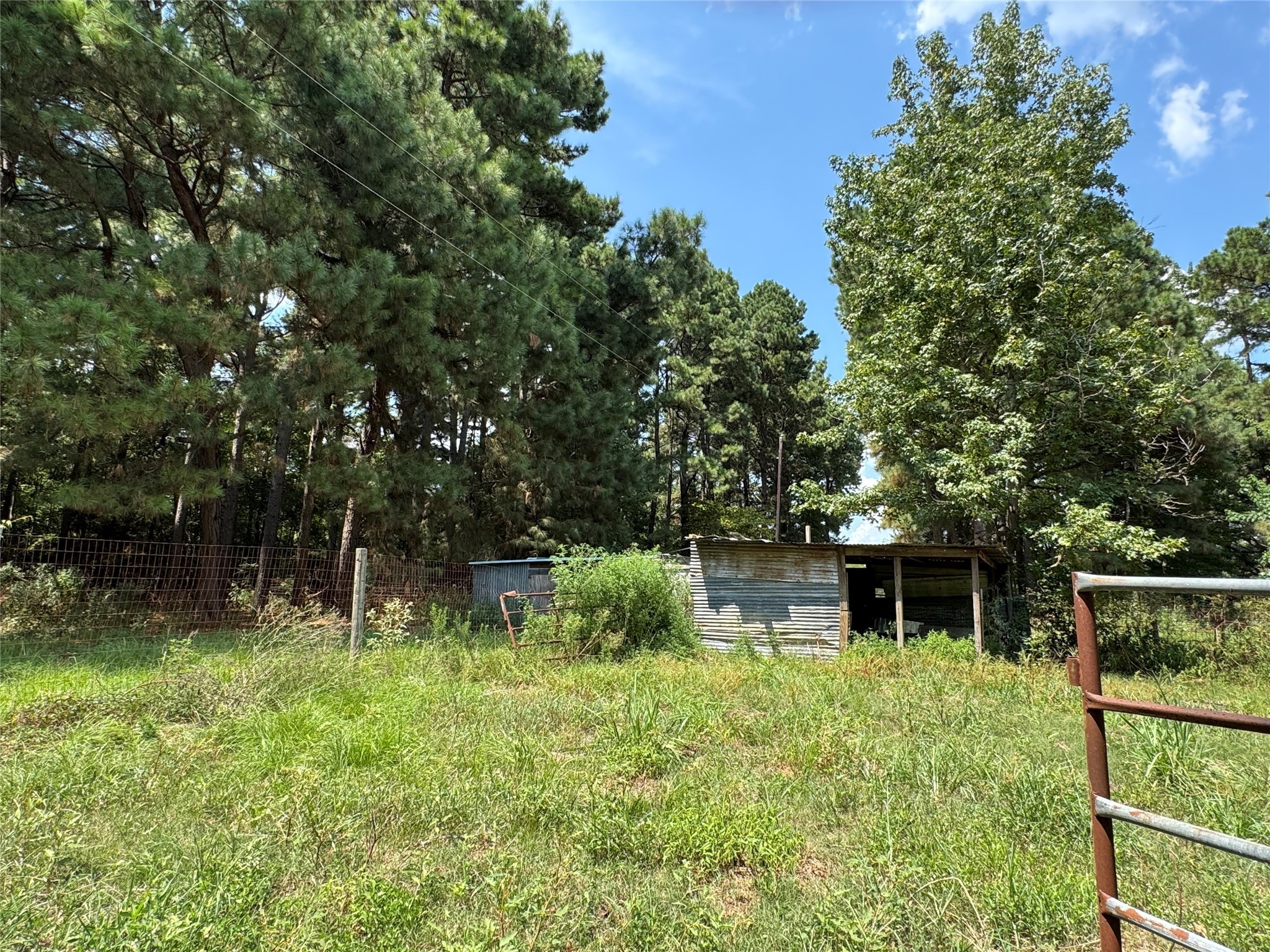 3926 Pignut Road