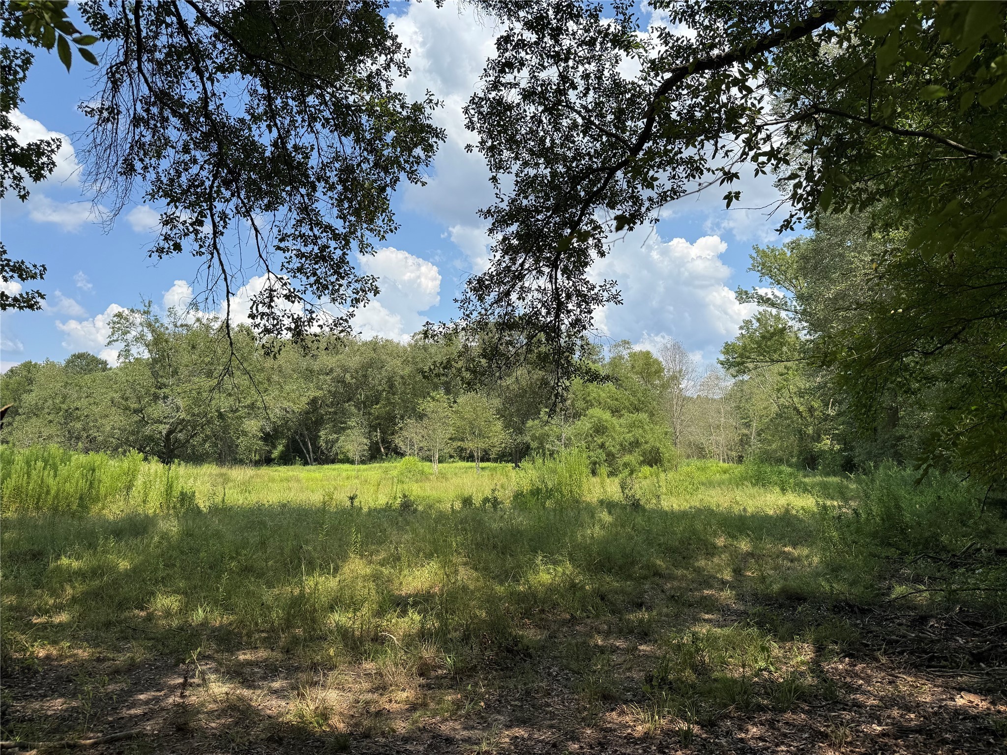 3926 Pignut Road