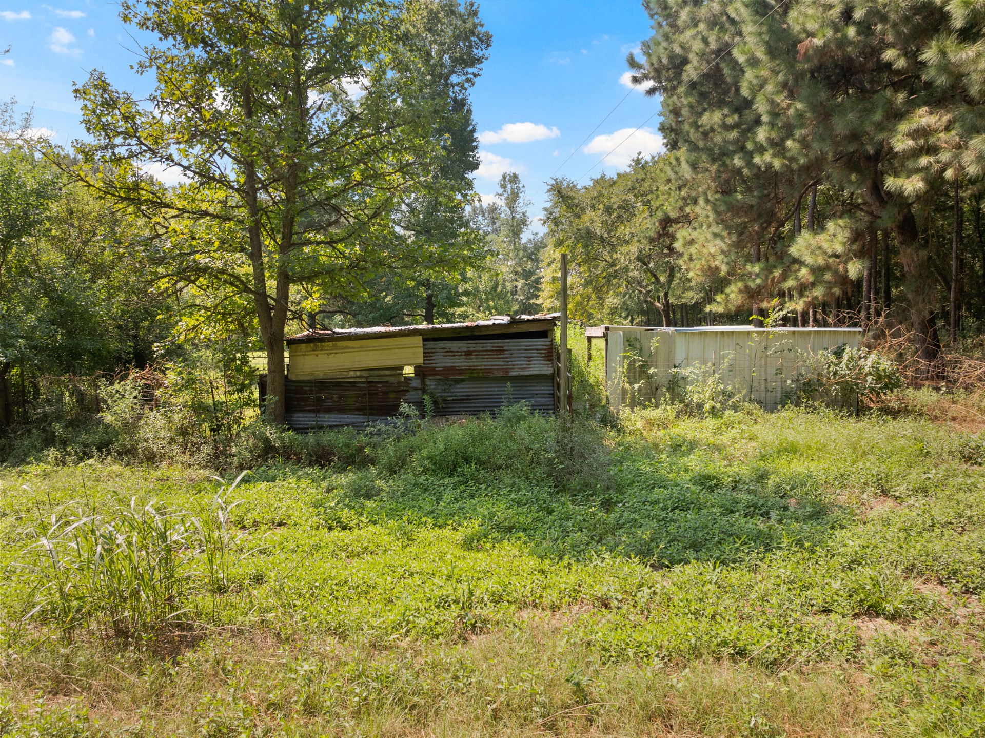 3926 Pignut Road