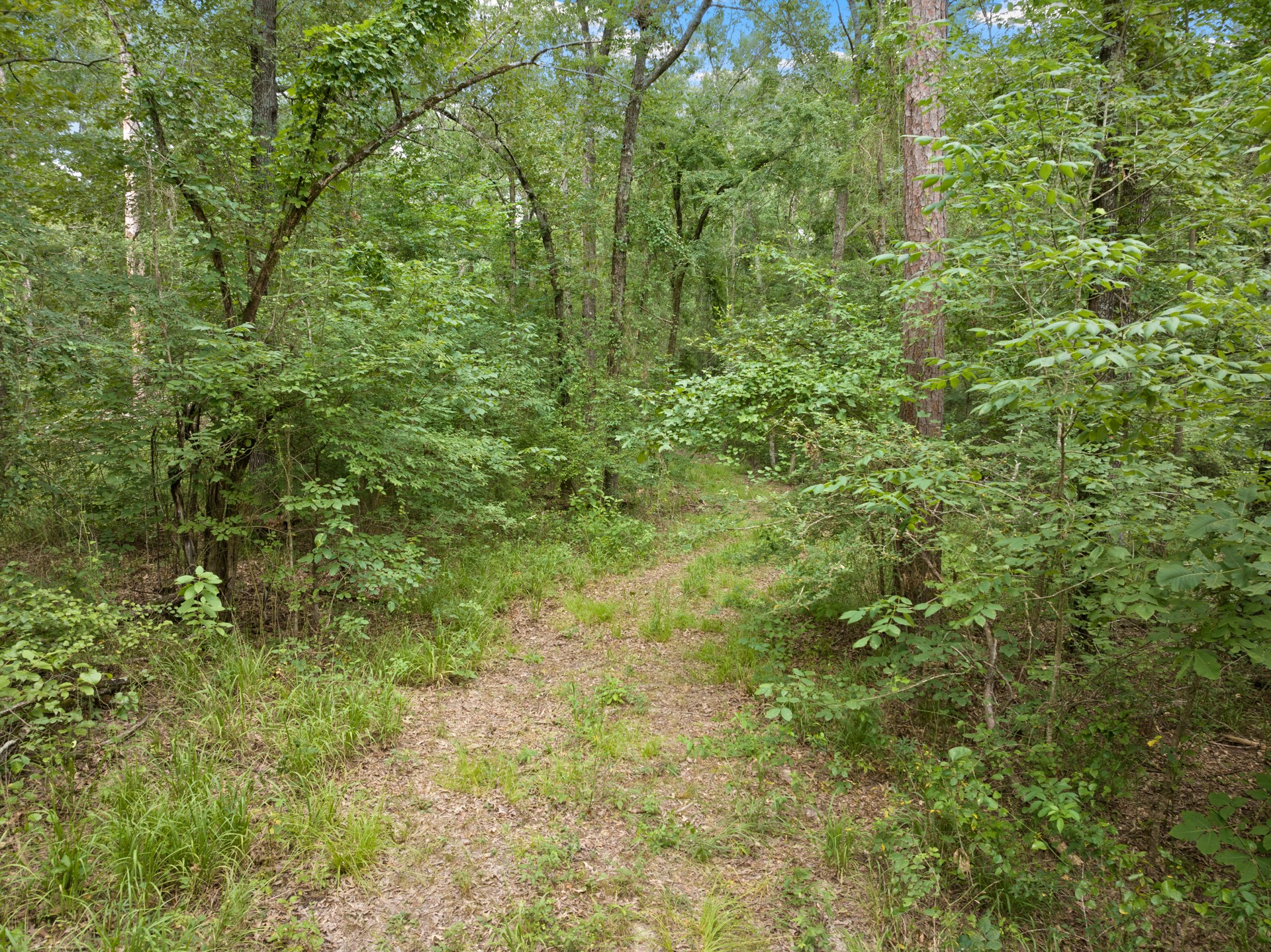 TBD Private Road 5040