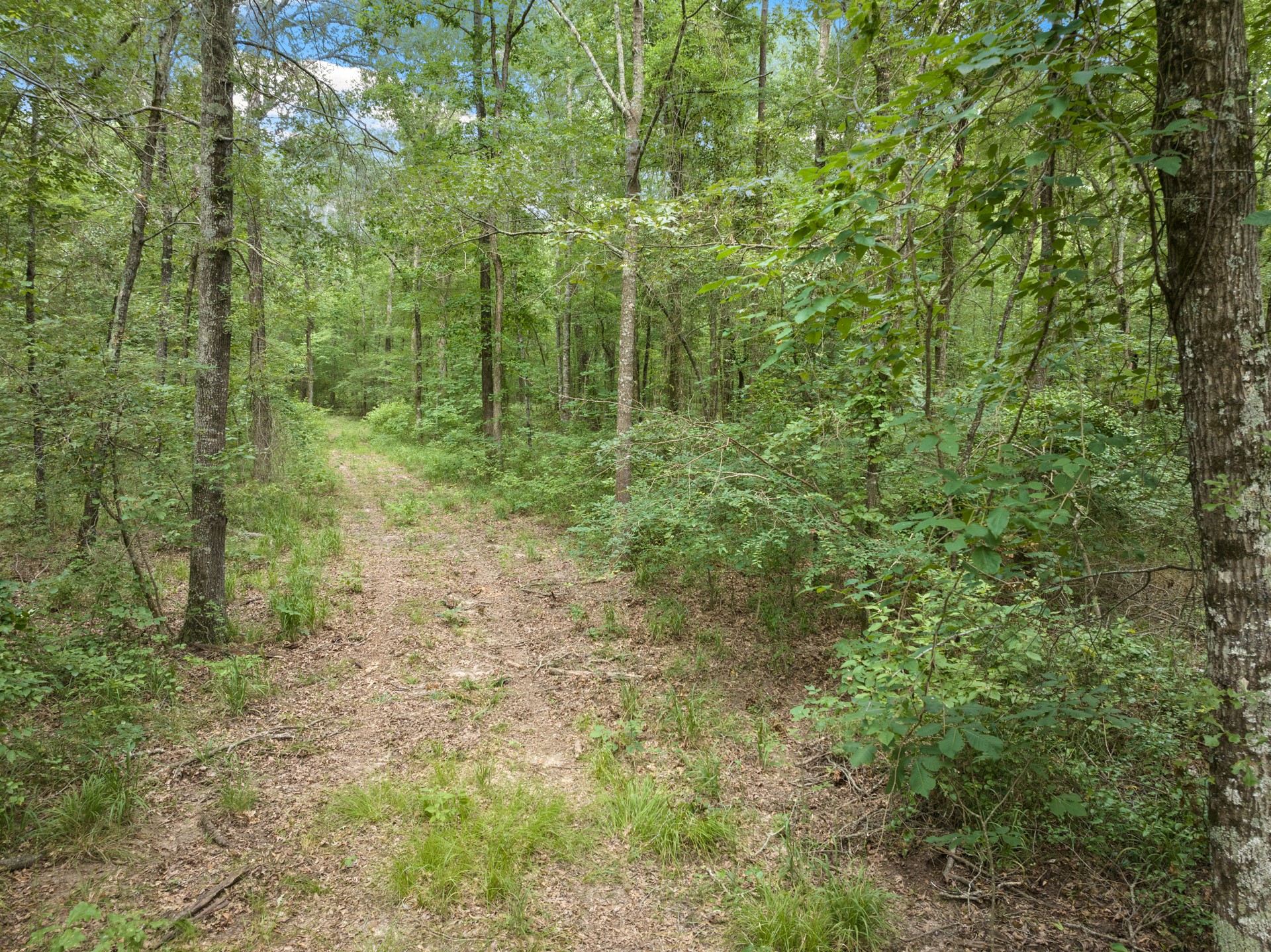 TBD Private Road 5040