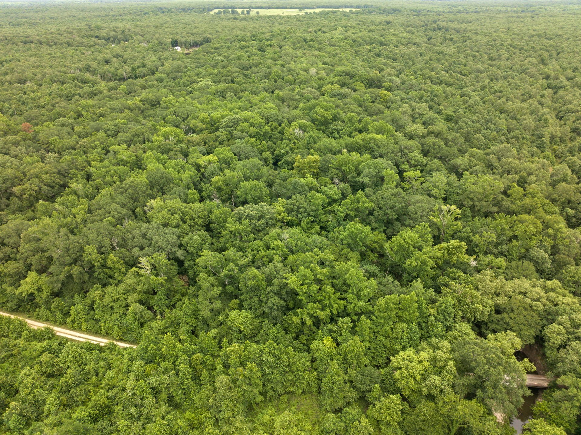 TBD Private Road 5040