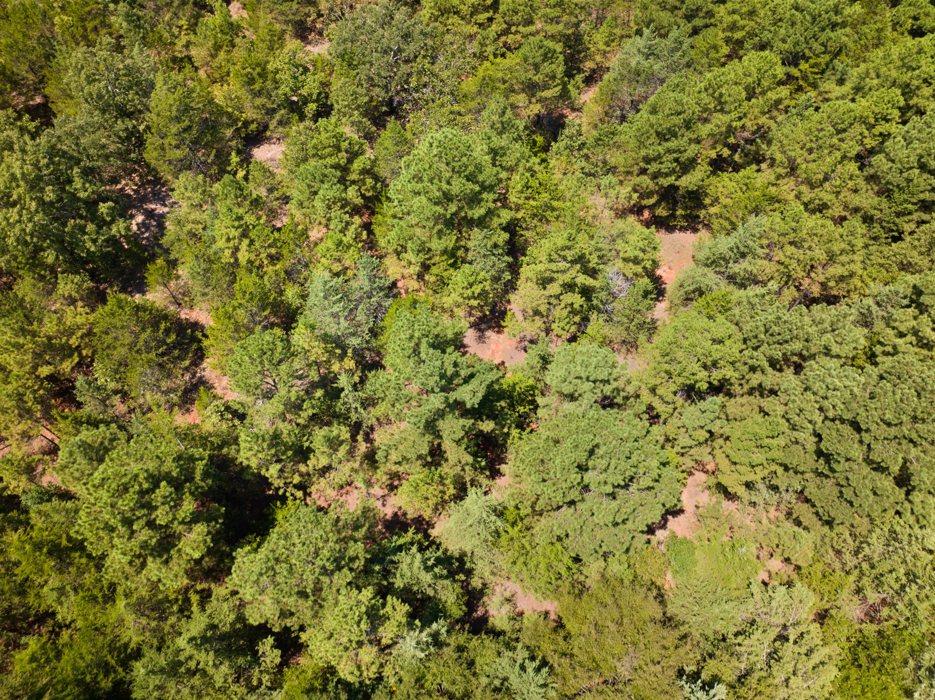TBD County Road 4710