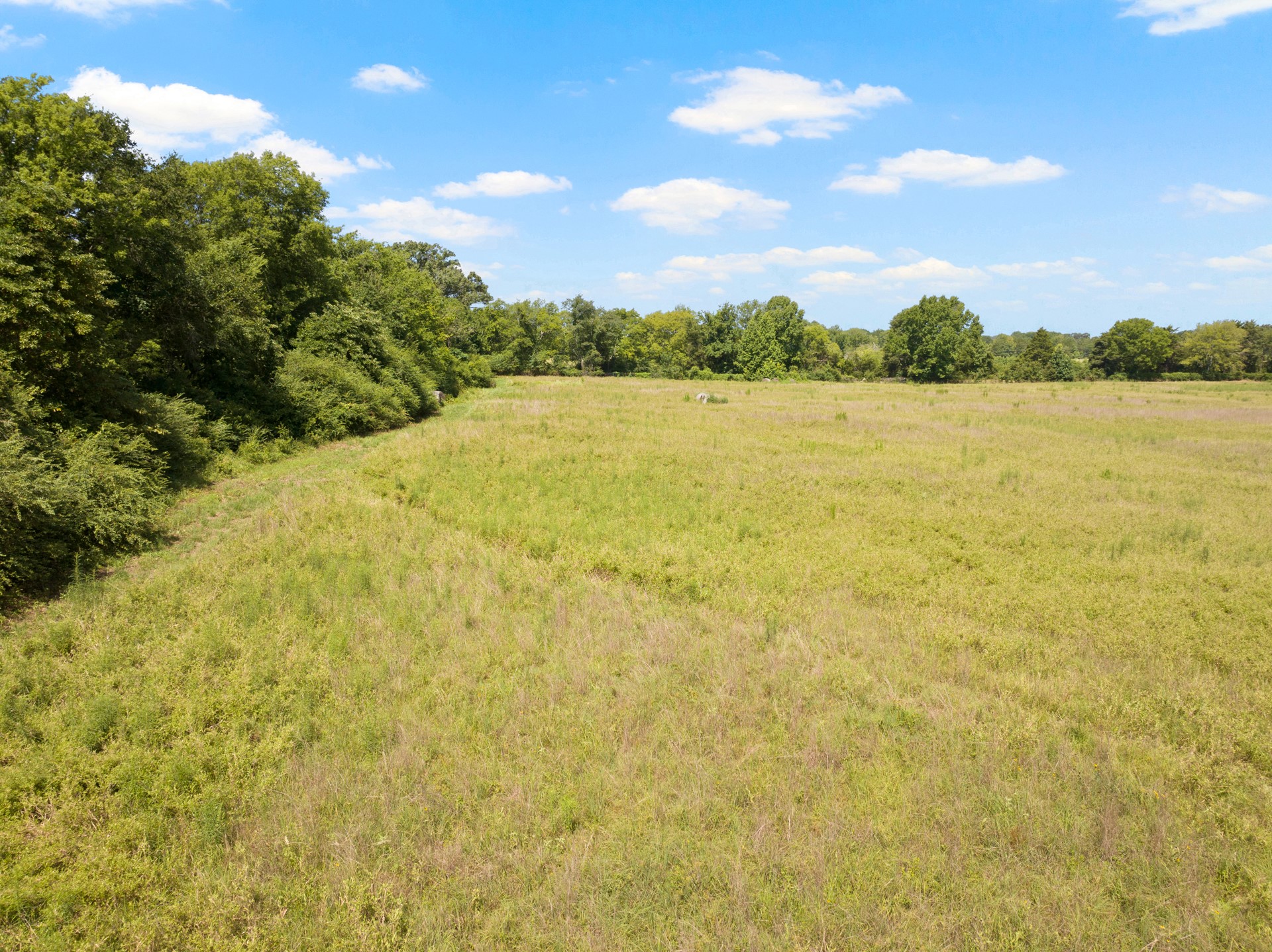 TBD County Road 1342