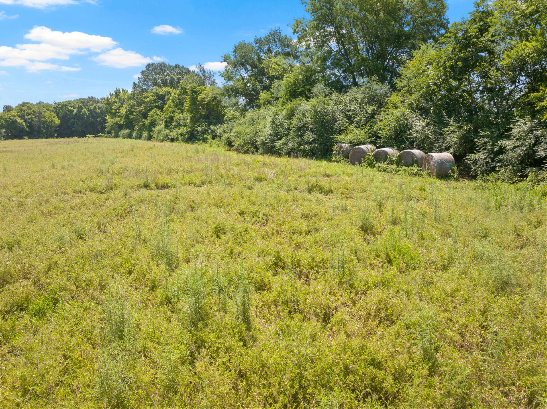 TBD County Road 1342