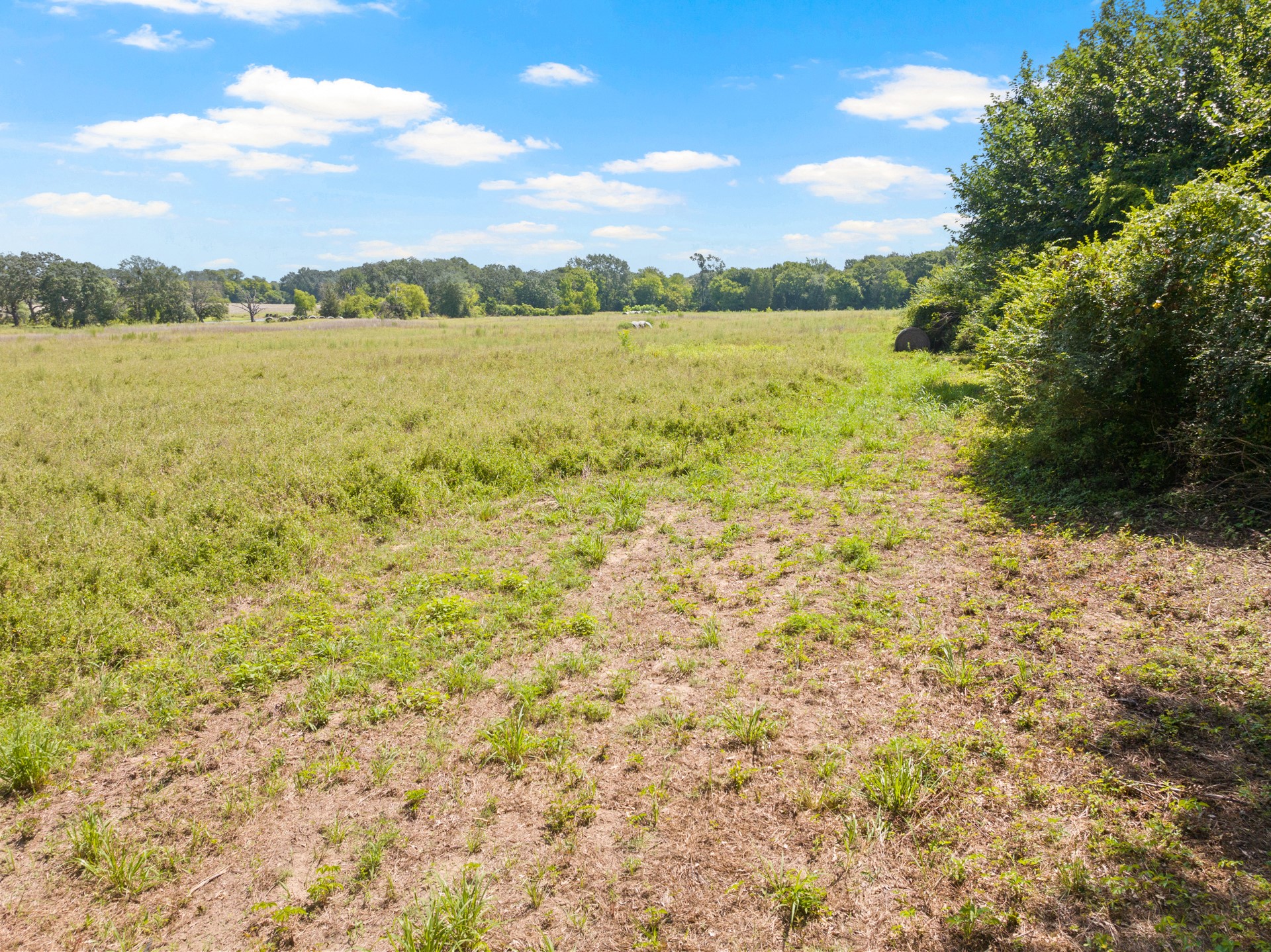 TBD County Road 1342