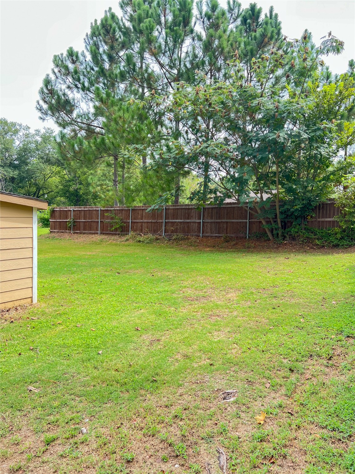 205 Pecan Street