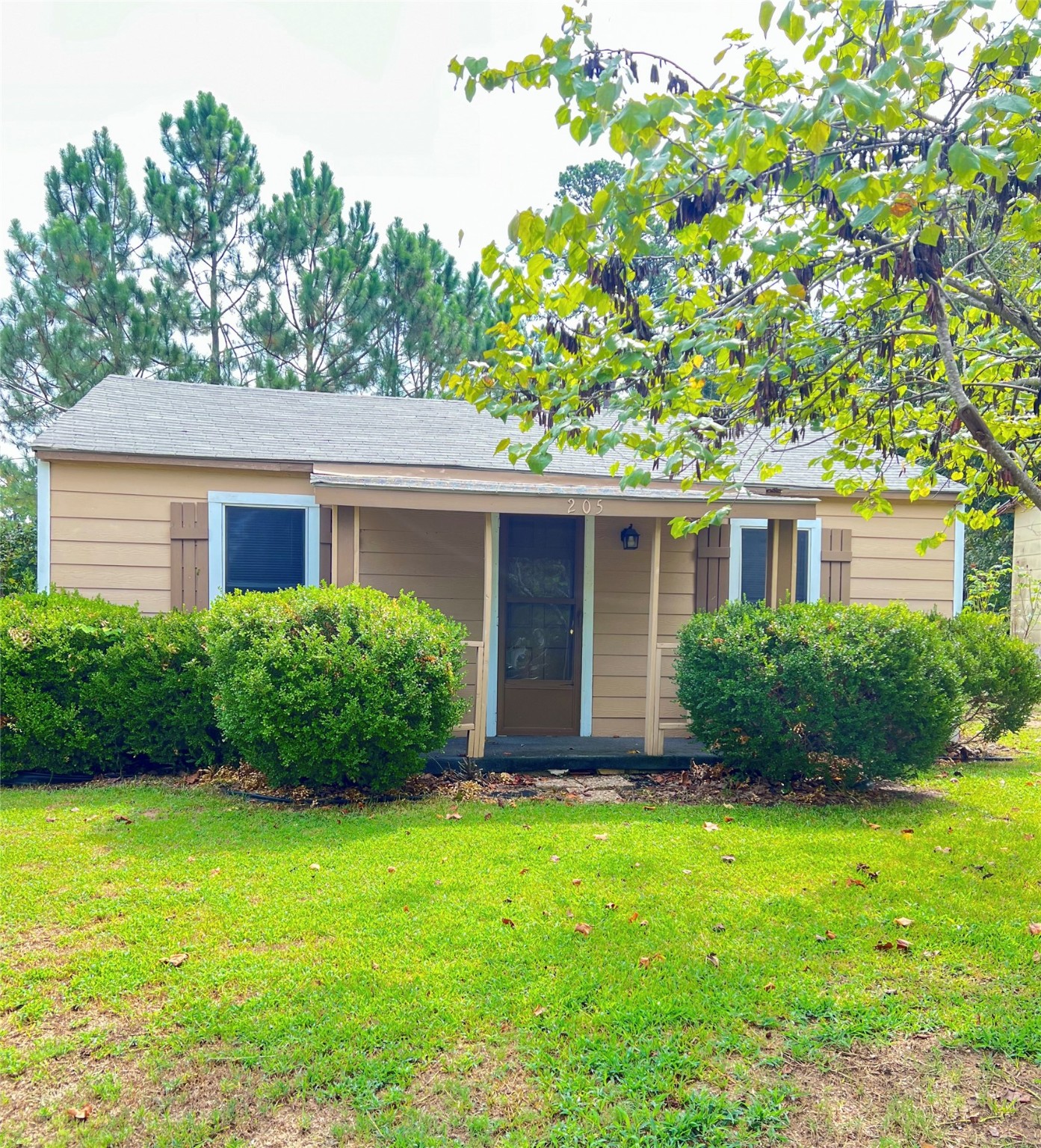 205 Pecan Street
