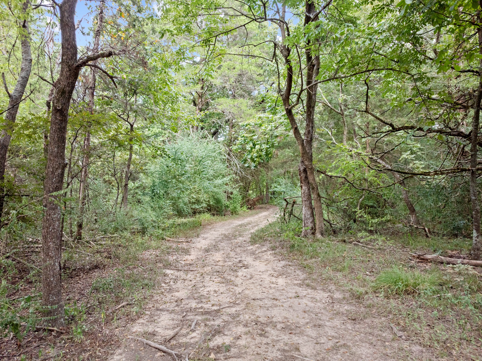 8091 Hwy 37