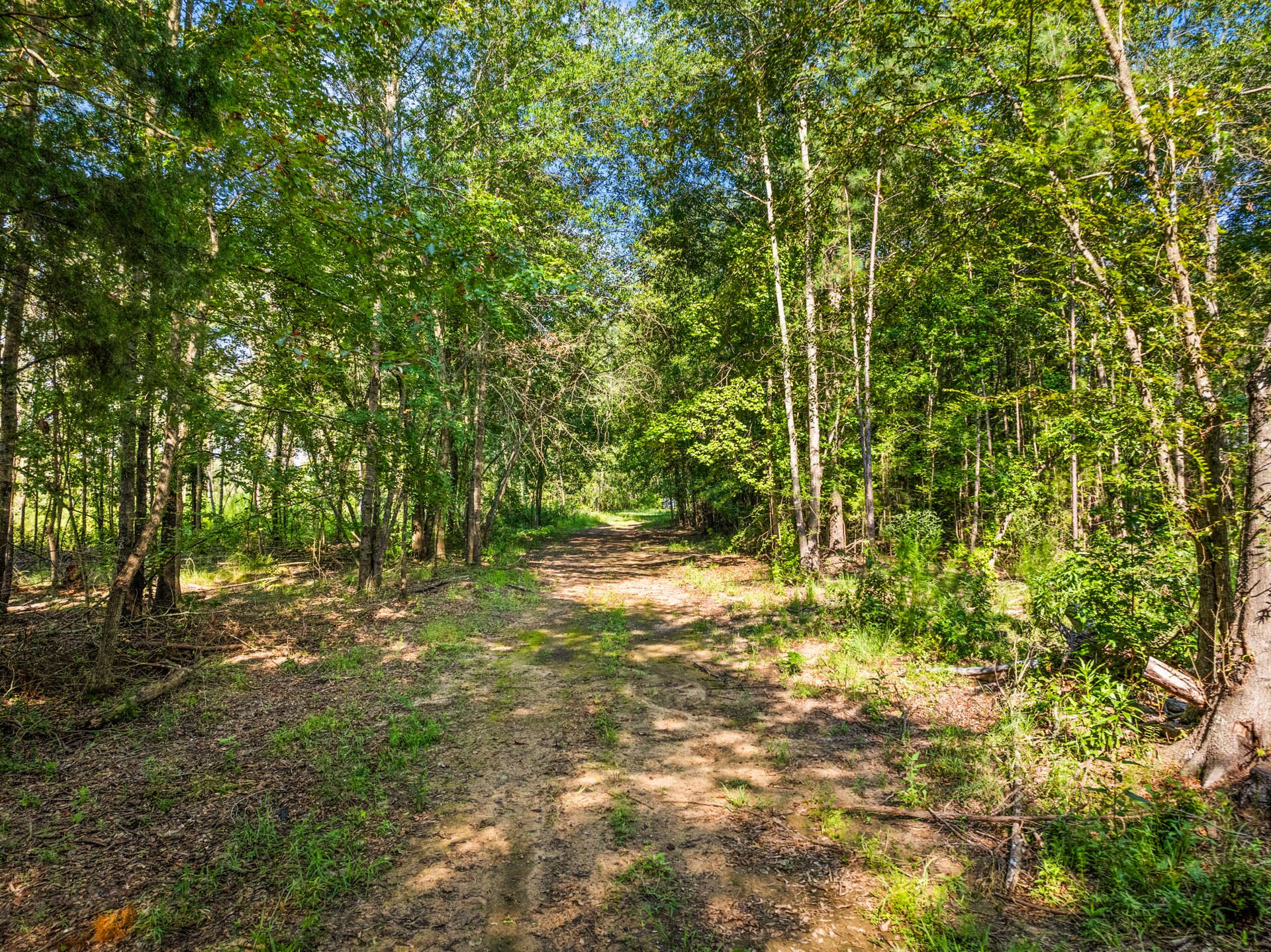 TBD Mink Road