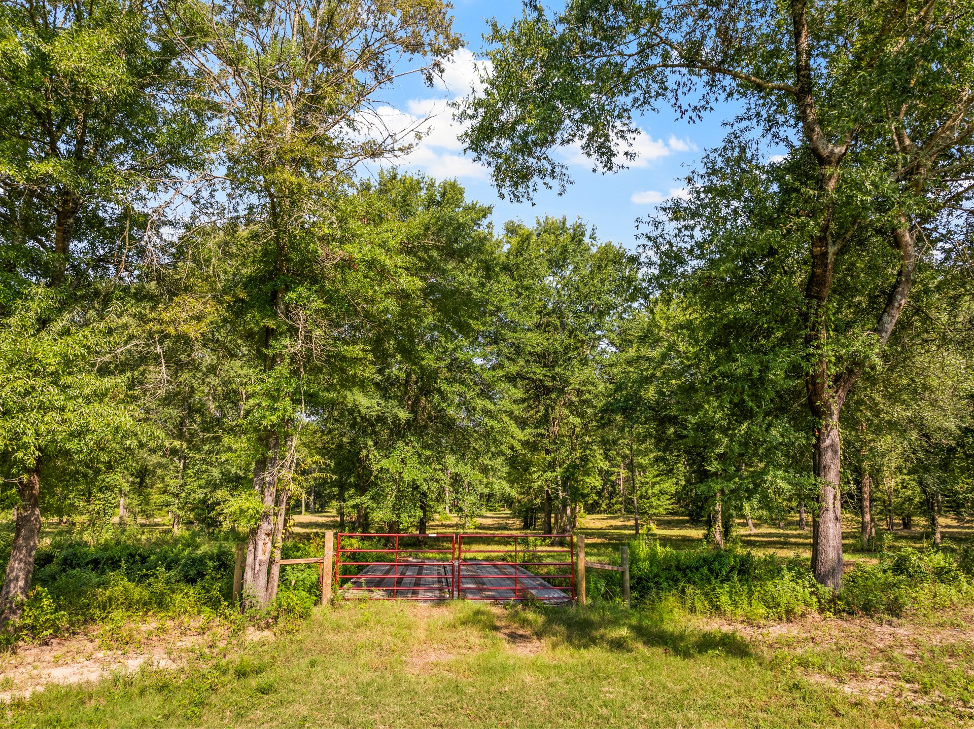 TBD Mink Road